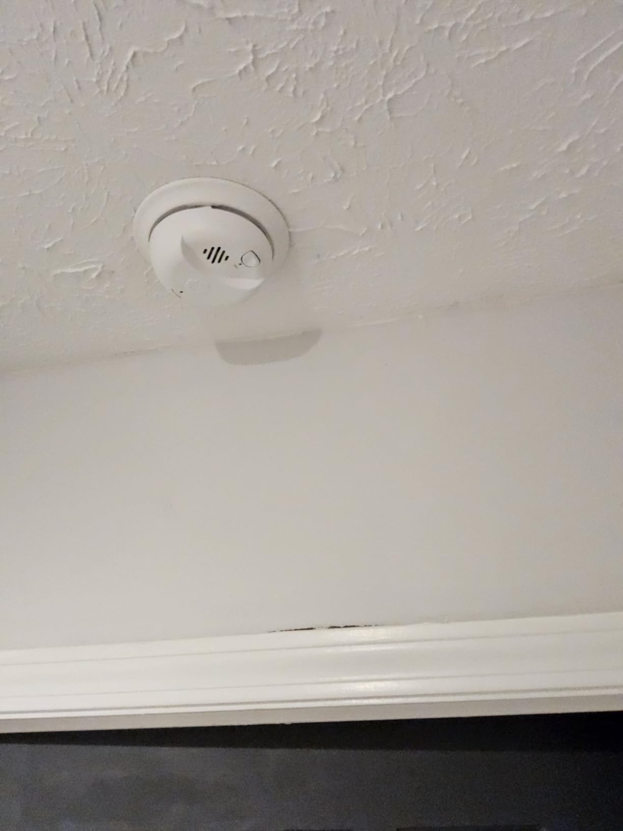 BRK First Alert 9120BFF/ SMI100-AC Smoke Detector, Hardwired Alarm with Battery Backup, White, 1-Pack customer photo 2