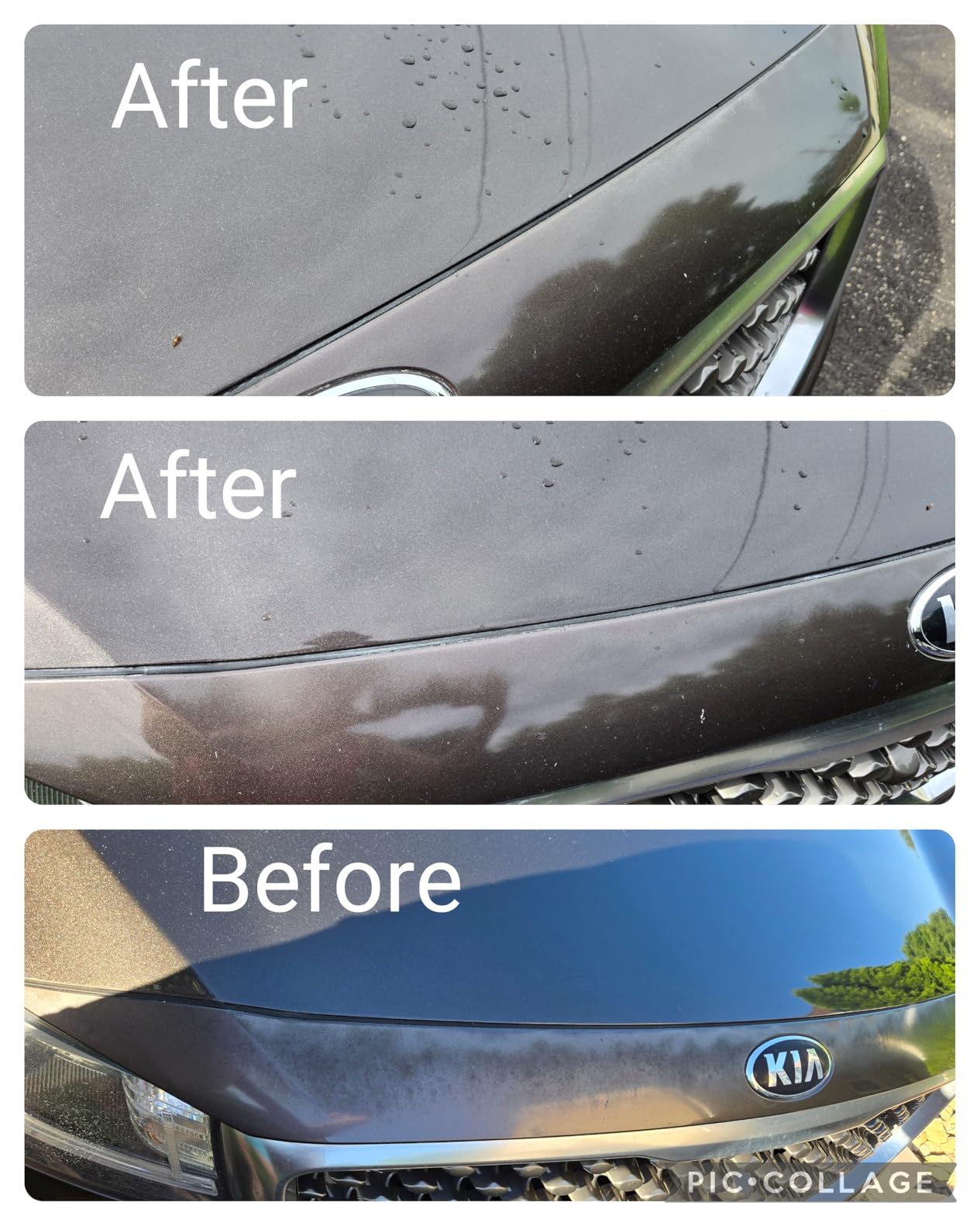 Chemical Guys, V Line Polish & Compound Kit, Paint Correction, 4 x 16 oz customer photo 2