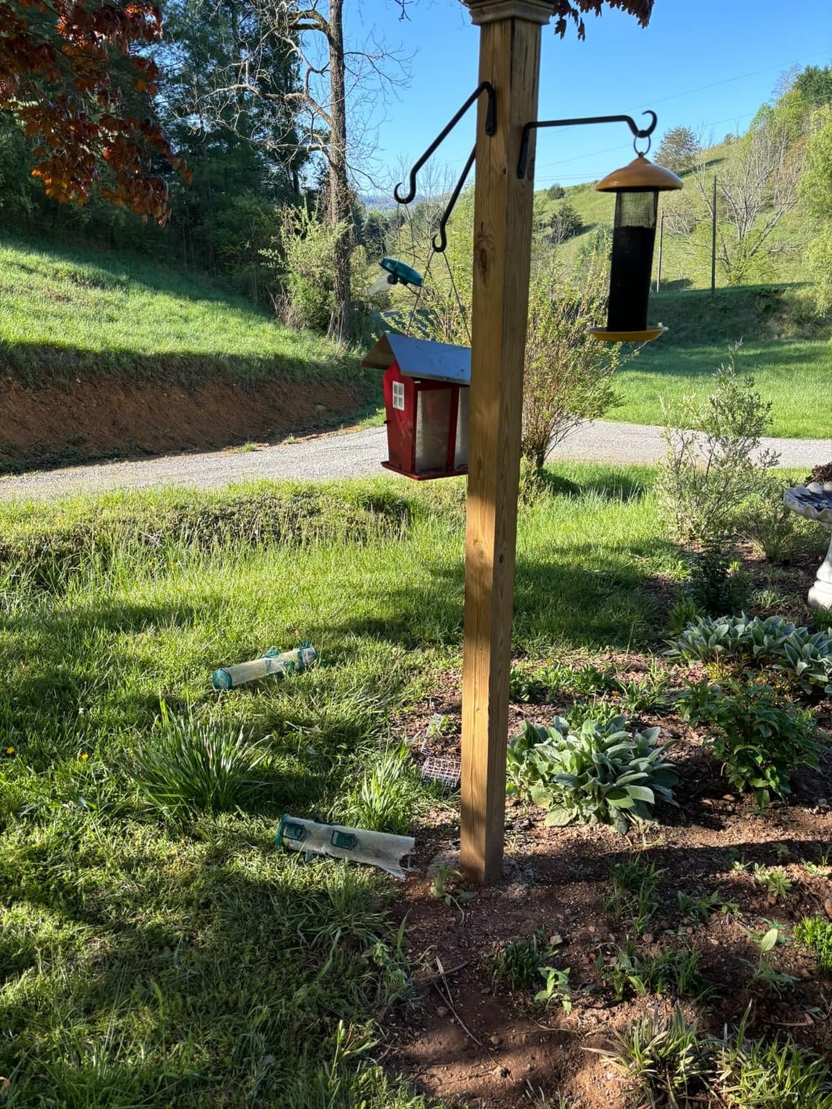 Wild Wings WWCF23 Rot Resistant Cedar Hanging Tray Bird Feeder with Fresh Seed Tray, Platform Feeder for Outdoor Wild Bird Seed Feeder and Décor, Wood customer photo 2