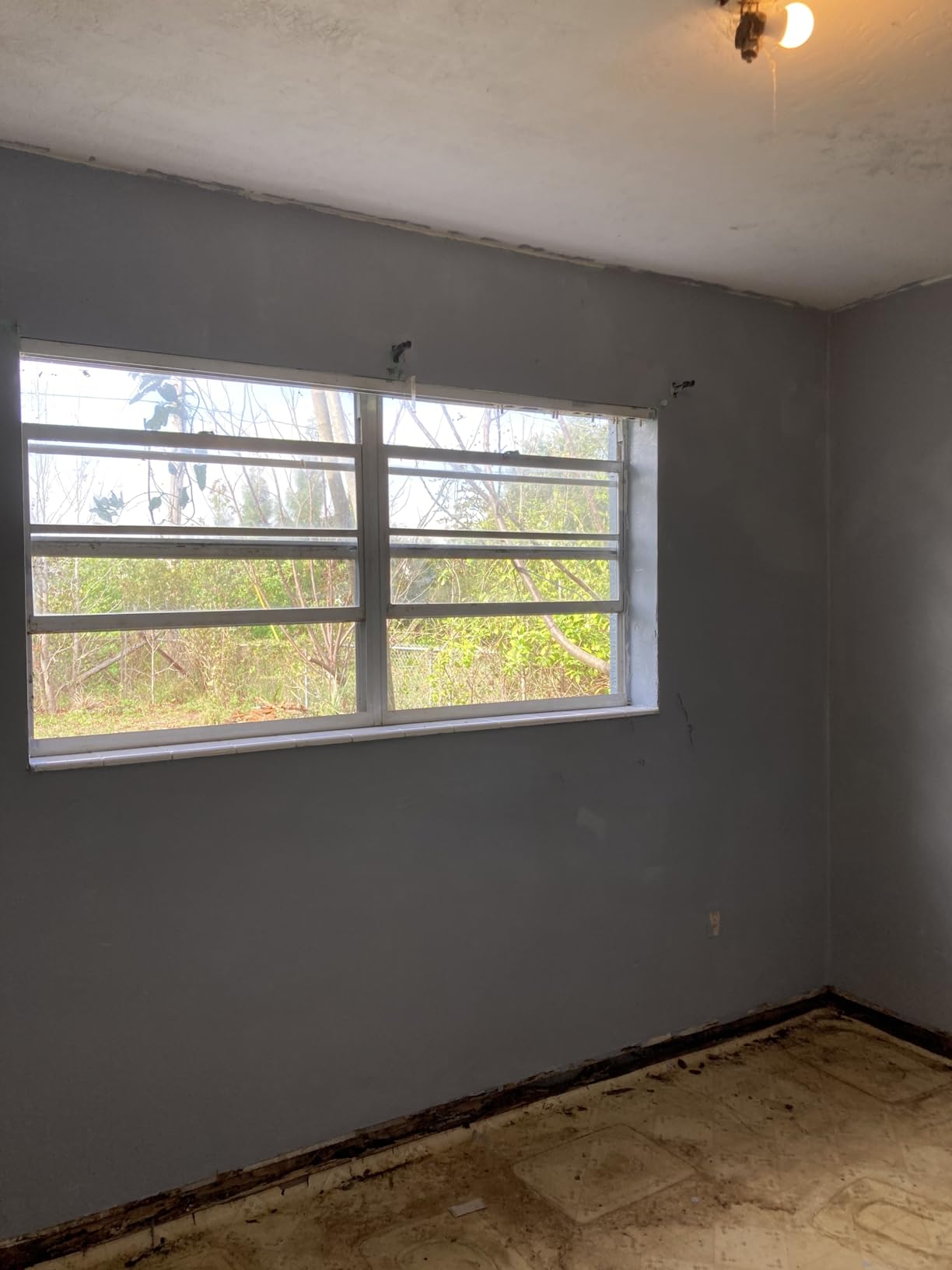 PRESTIGE Interior Paint and Primer in One, Seal Gray, Eggshell, 1 Gallon customer photo 2