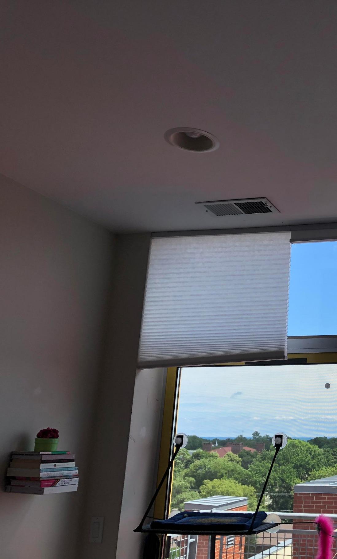 Arlo Blinds Single Cell Light Filtering Cordless Cellular Shades, Color: Pure White, Size: 30