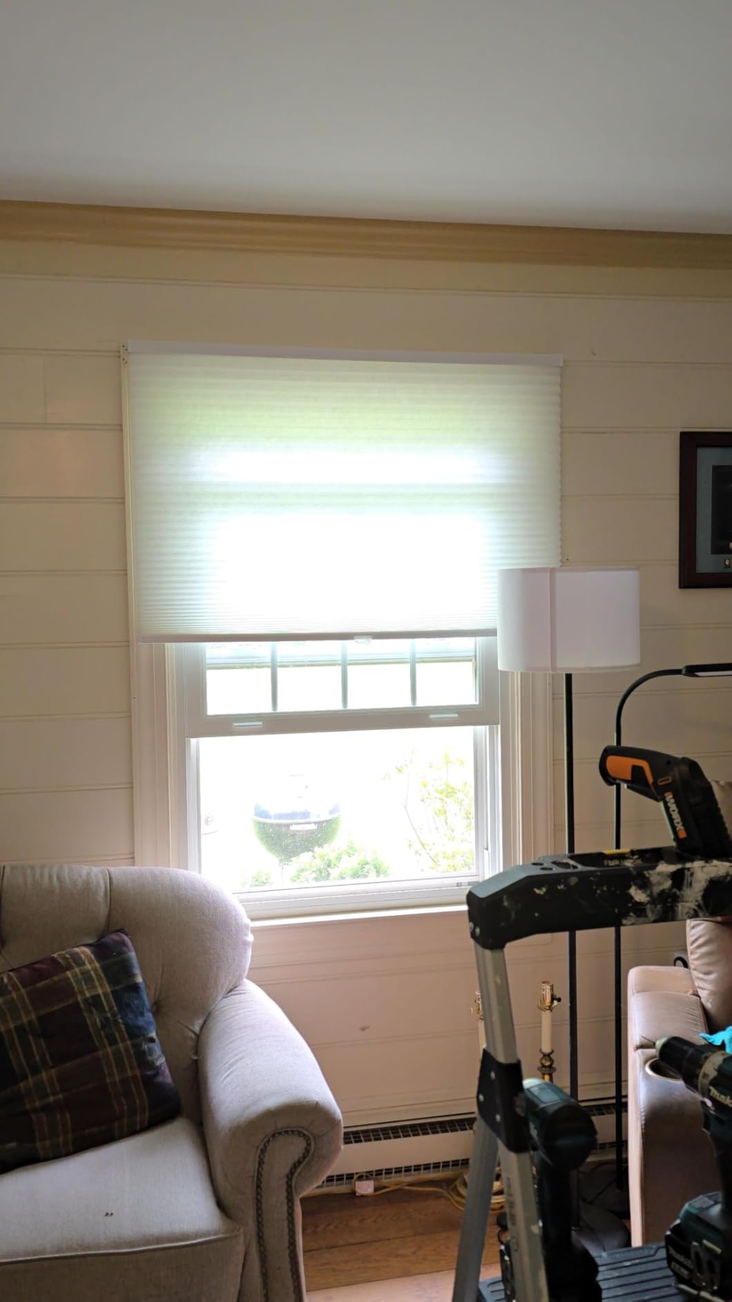 Arlo Blinds Single Cell Light Filtering Cordless Cellular Shades, Color: Pure White, Size: 30