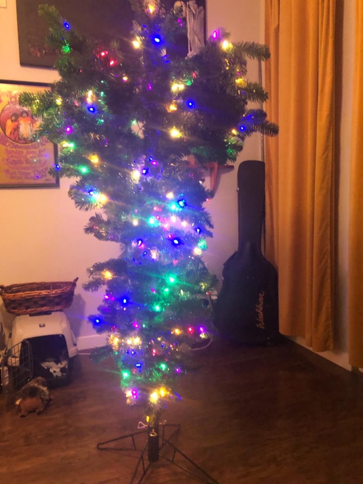Vickerman 5.5' Green Upside Down Artificial Christmas Tree, Unlit - Faux Upside Down Christmas Tree - Seasonal Indoor Home Decor customer photo 1
