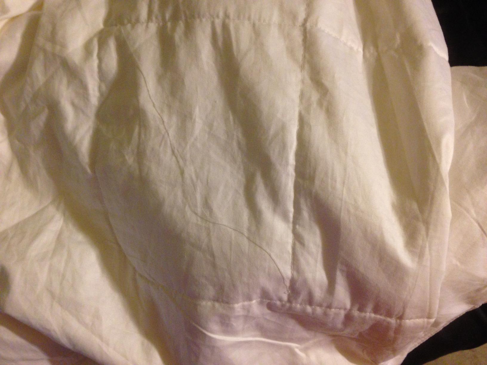 LilySilk 100% Silk Duvet/Comforter Queen, White, for Four Season, Machine Washable Long Strand Silk Quilt, 100% Cotton Cover 0.9kg, King 104