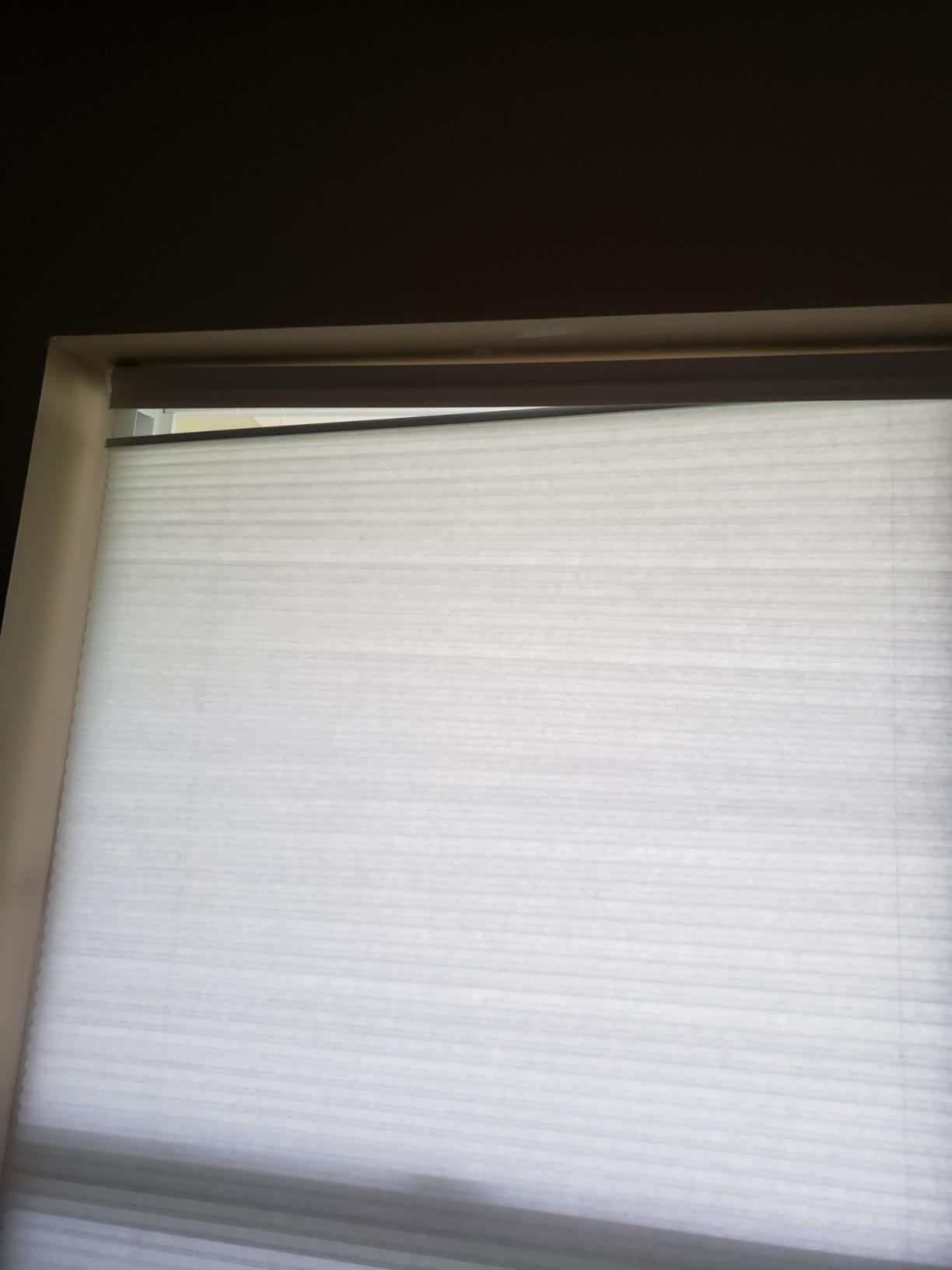 Cordless Cellular Pleated Window Shades - 23 Inch Width, 64 Inch Length - Alabaster - Light Filtering Top-Down Honeycomb Pull Down Blinds for Windows and Skylights by Achim Home Decor customer photo 1