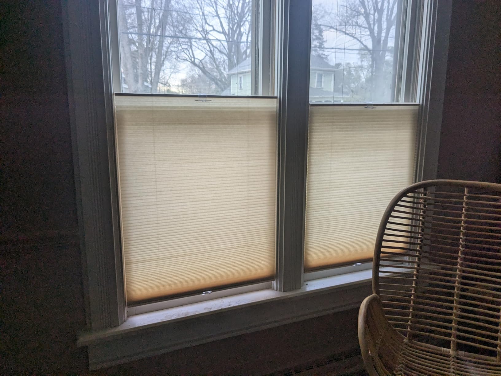 Cordless Cellular Pleated Window Shades - 23 Inch Width, 64 Inch Length - Alabaster - Light Filtering Top-Down Honeycomb Pull Down Blinds for Windows and Skylights by Achim Home Decor customer photo 2