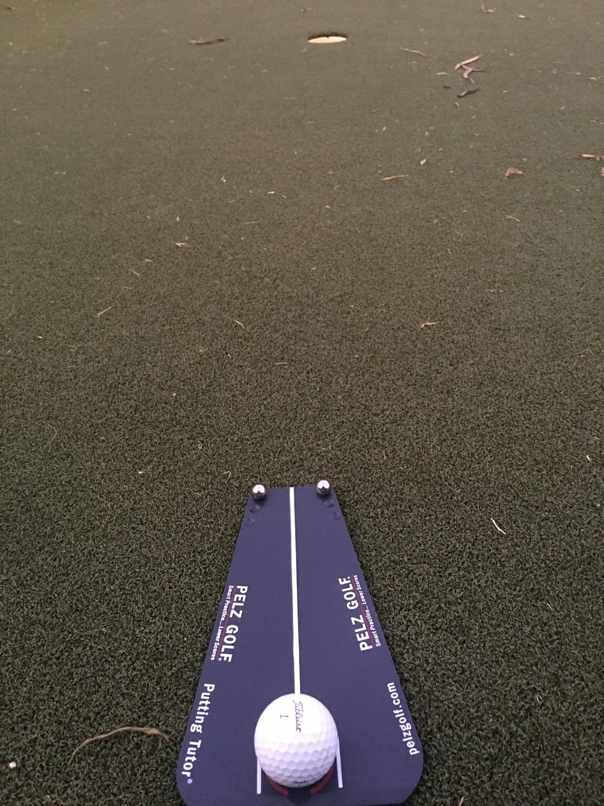 Pelz Golf DP4007 Putting Tutor black, standard customer photo 2