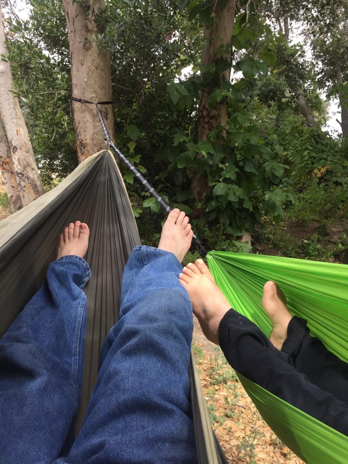 MalloMe Hammock Straps for Trees - Swing Straps - Multi-Purpose Hanging Kit, Heavy Duty Adjustable Tree Strap for Hammocks, Swings & Outdoor Use, Safe for Branch or Between 2 Trees customer photo 1