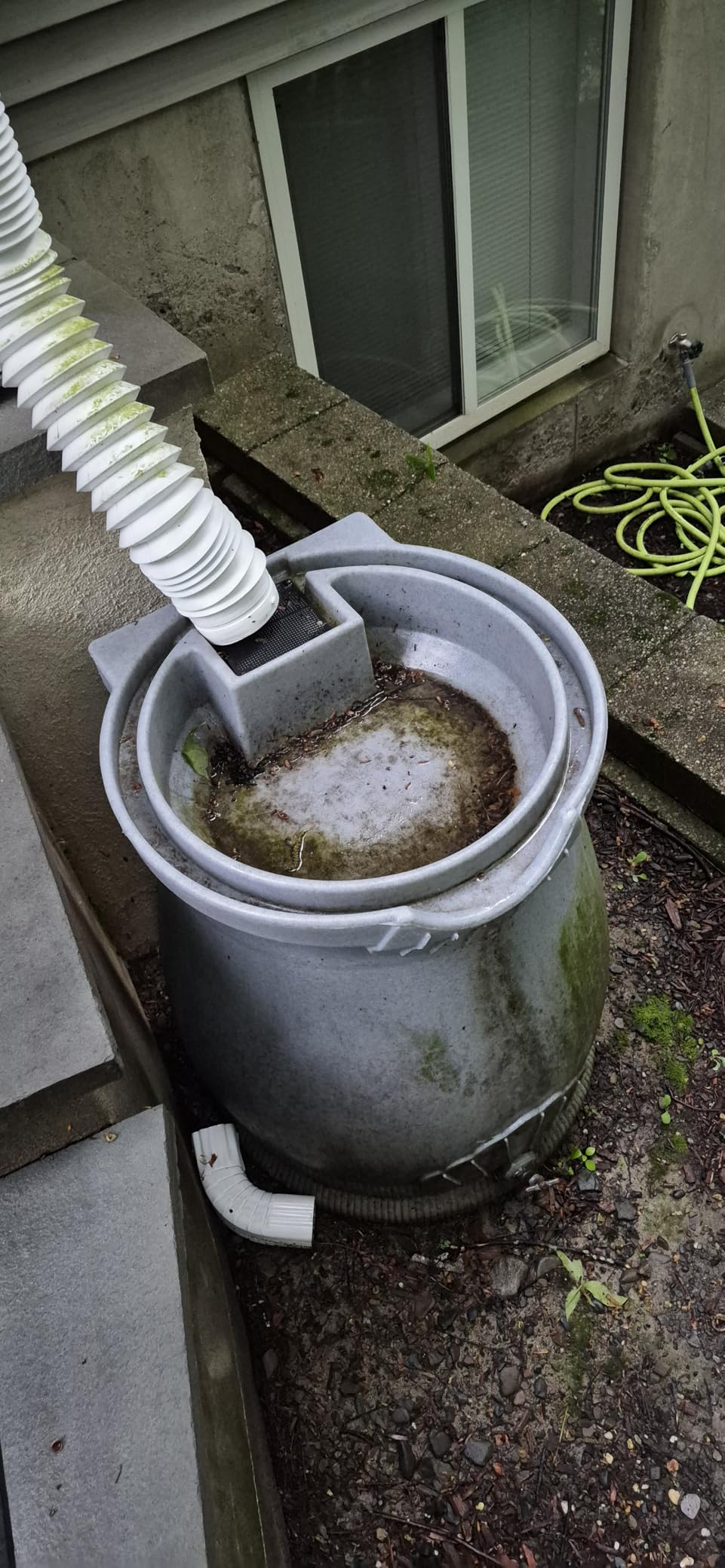 Good Ideas Rain Wizard Urn Shaped Water Collection Barrel, 50 Gallon customer photo 2