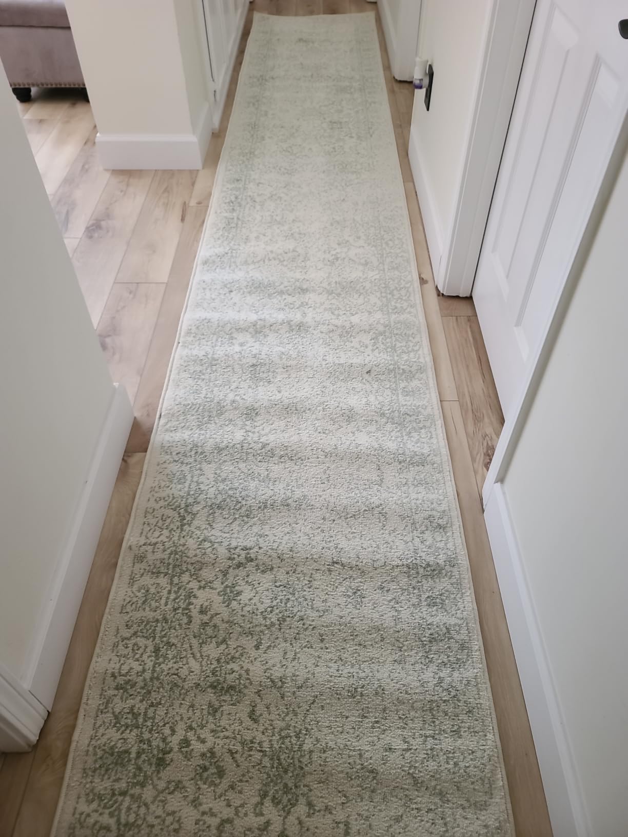 SAFAVIEH Area Rug 8x10 - Adirondack Collection - Large - Ivory & Sage, Distressed Vintage Floral Design, Non-Shedding & Easy to Clean, Ideal for Living Room, Bedroom, Dining Space (ADR109V) customer photo 2