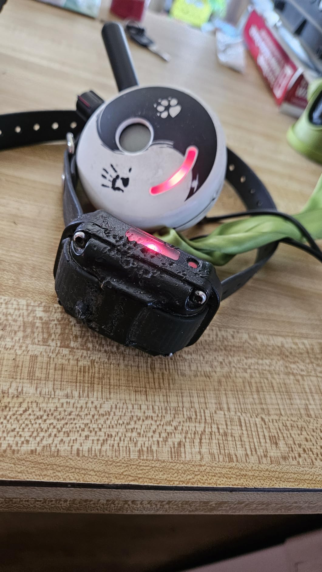 Educator ET-300 Mini E Collar for Dog Training with Remote - 1/2 Mile Range, Waterproof, 100 Blunt Stimulation Levels, Tone or Vibration Mode, Night Light Tracking for Small, Medium & Large Dogs customer photo 1