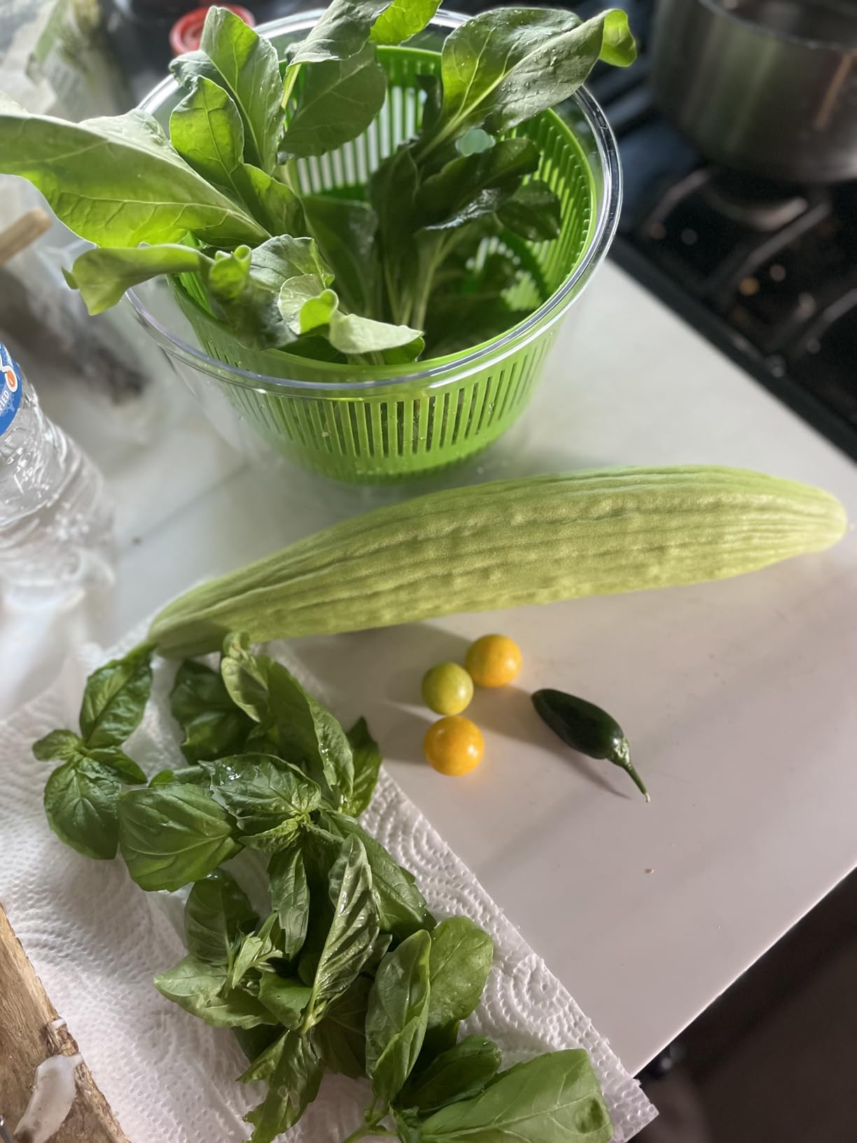 Cuisinart Salad Spinner- Wash, Spin & Dry Salad Greens, Fruits & Vegetables, 3qt, CTG-00-SSAS customer photo 2