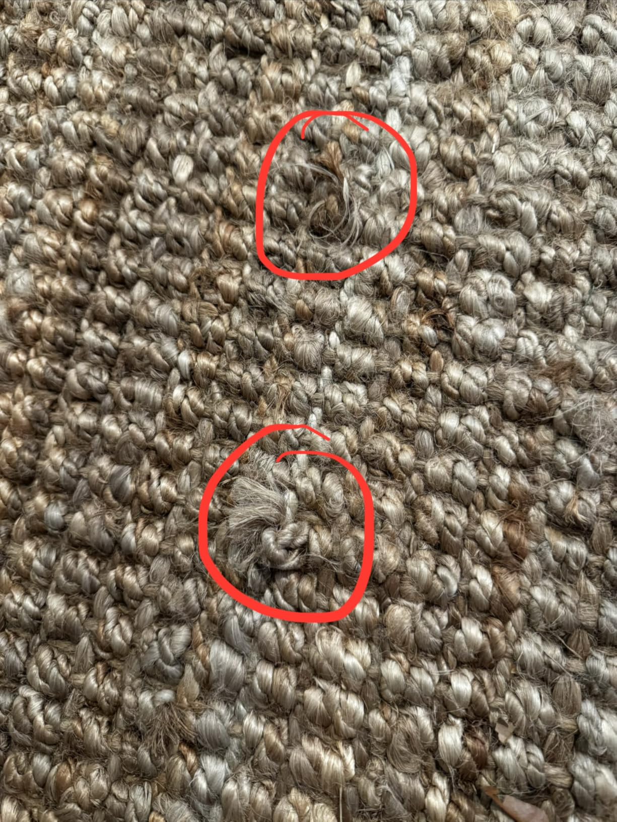 nuLOOM Ashli Natural Solid Handwoven Area Rug, 4' x 6' customer photo 2