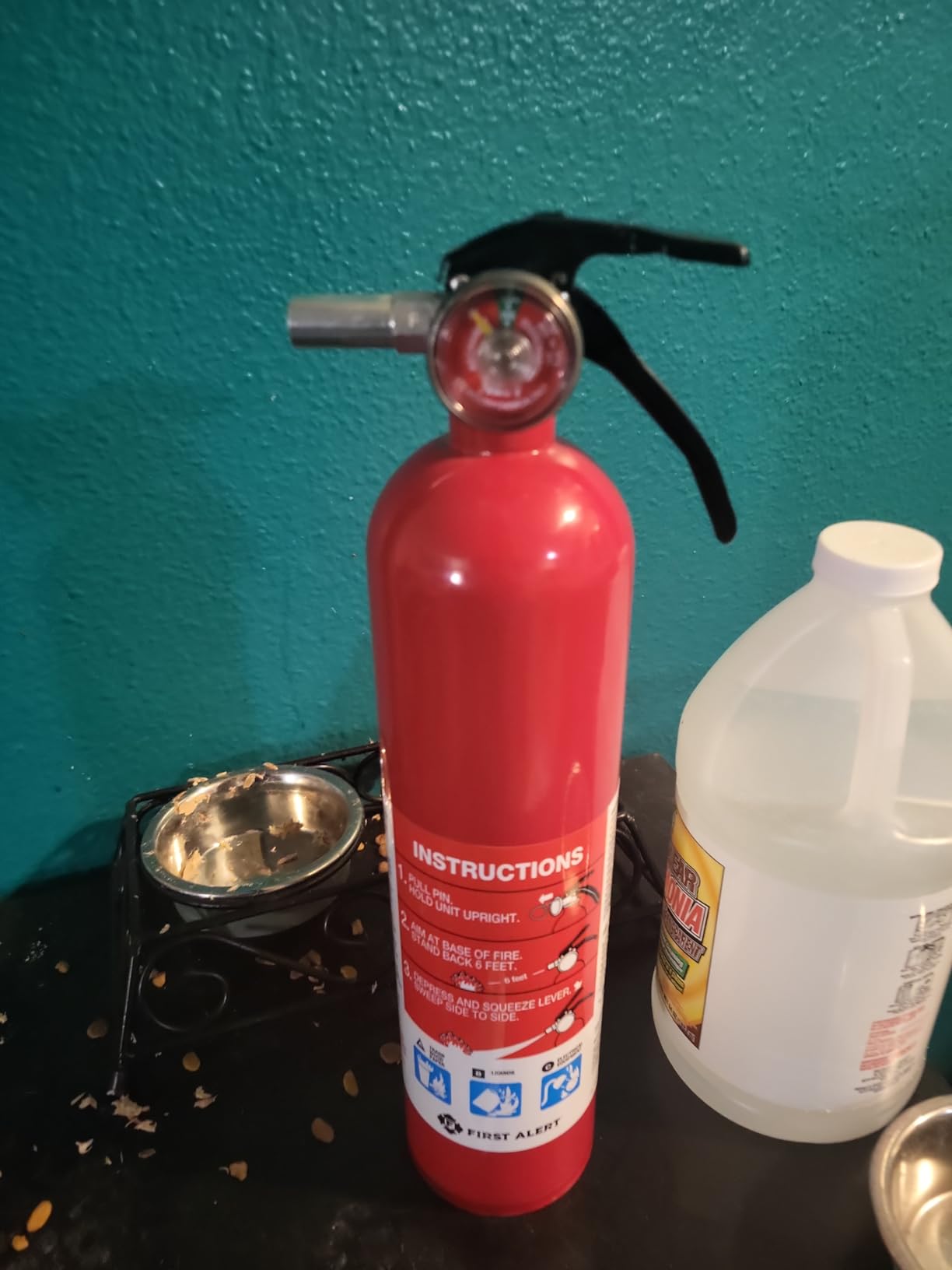 First Alert Fire Extinguisher, Standard Home Use customer photo 2