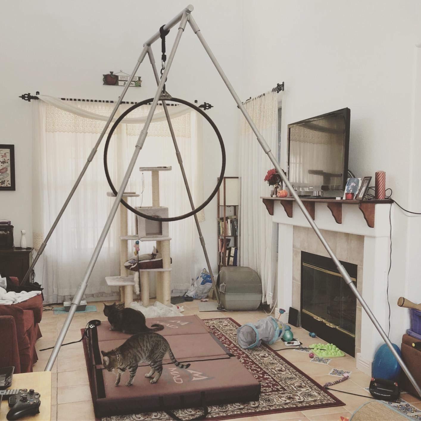 Yoga Trapeze Versatile Fitness Yoga Stand for Home & Outdoor | Easy 5-Min Setup | Supports Yoga Aerial Silks, Swings, Hammocks, Olympic Rings | Stable Solid Aluminum Supports Max 600lbs customer photo 1