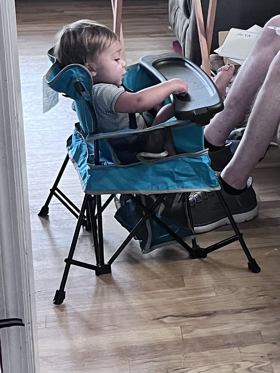 Baby Delight Go with Me Venture Portable Chair | Indoor and Outdoor | Sun Canopy | 3 Child Growth Stages | Grey customer photo 2