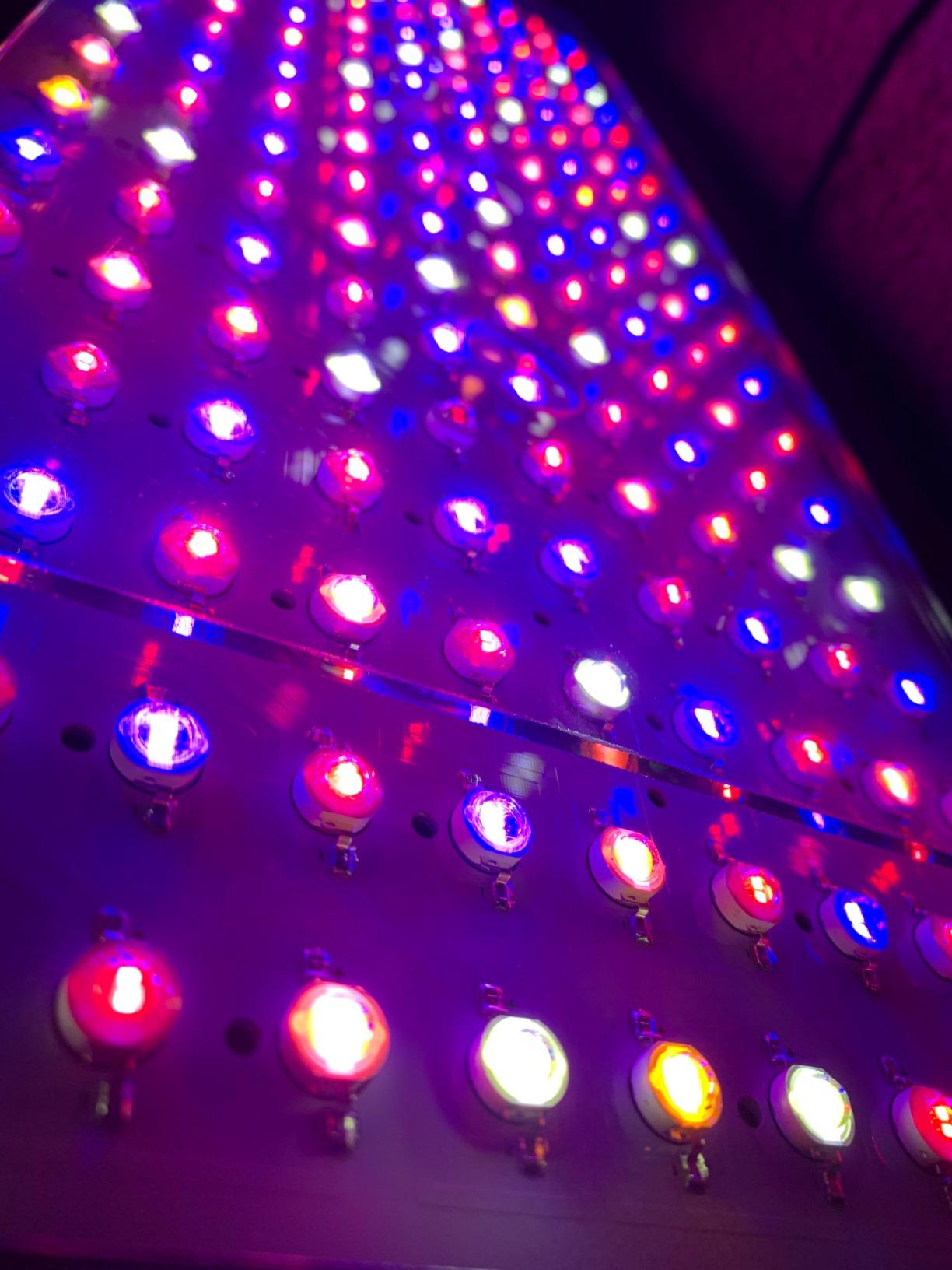 BESTVA DC2000 High-Yield Indoor Plant Grow Light, Fits 3x3/3x4/3x5 ft Tents customer photo 2