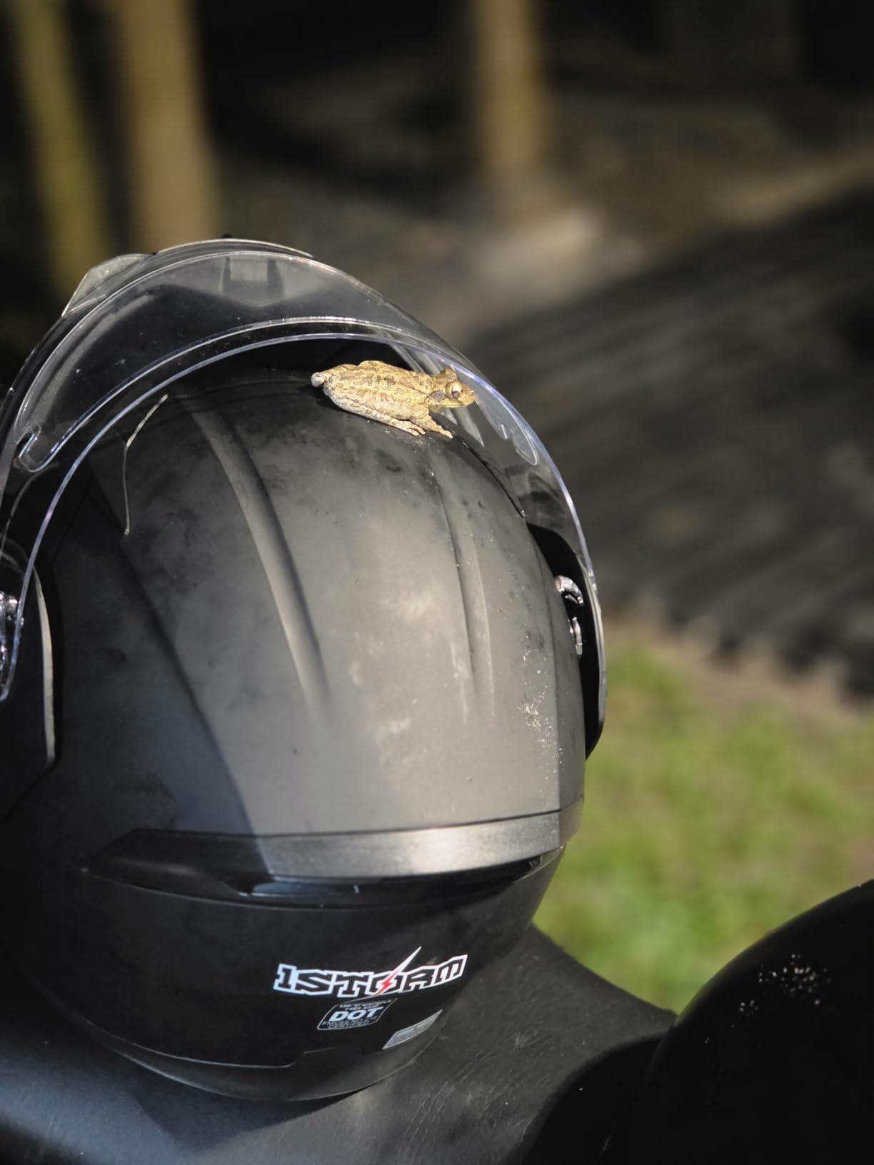 1Storm Motorcycle Modular Full Face Helmet Bike Flip up Dual Visor Sun Shield: HB89 Matt Black customer photo 2