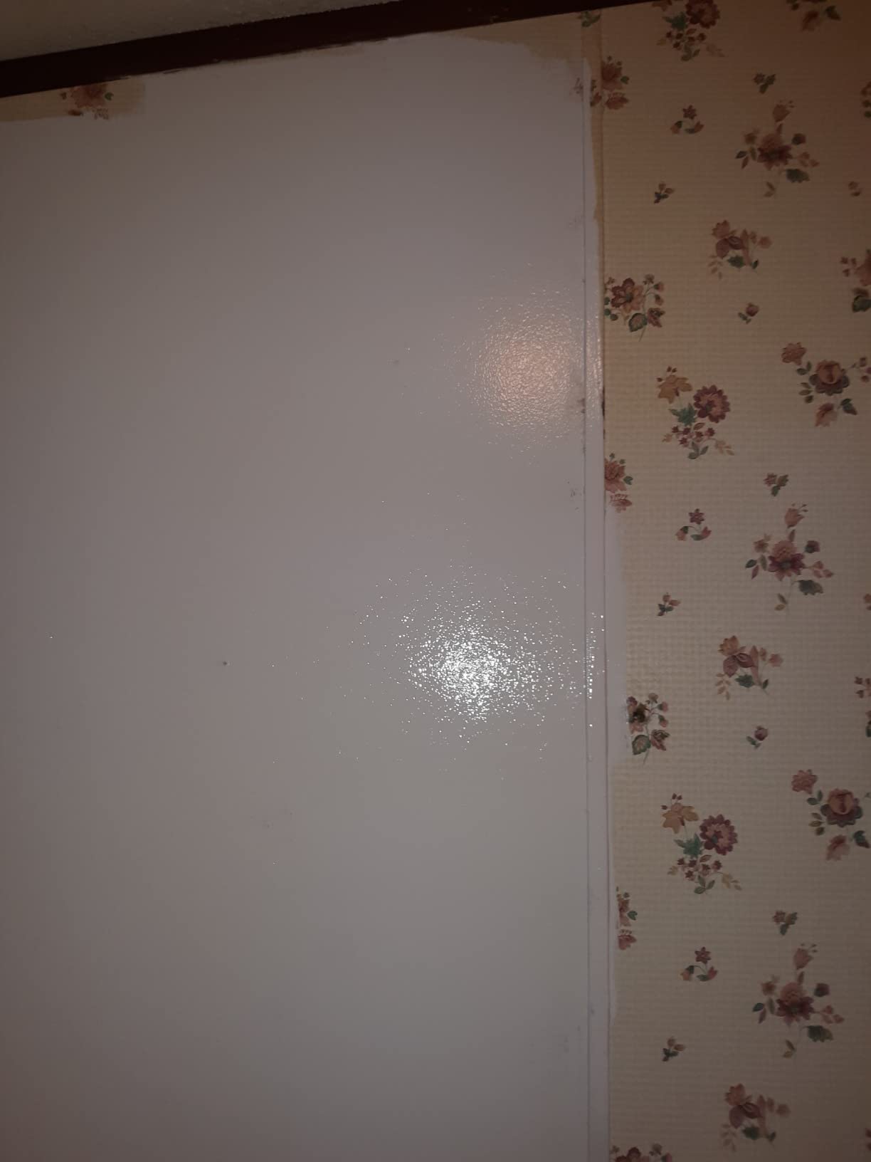 PRESTIGE Paints Interior Paint and Primer In One, 1-Gallon, Semi-Gloss, Comparable Match of Behr* Gray Shimmer* customer photo 2