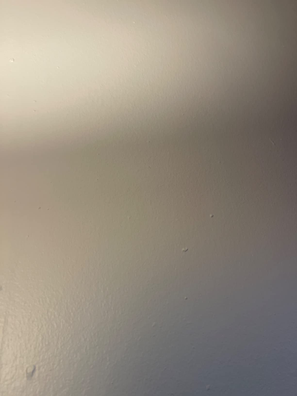 Prestige Paints Interior Paint and Primer In One, 1-Gallon, Semi-Gloss, Comparable Match of Valspar* Cream Delight* customer photo 1