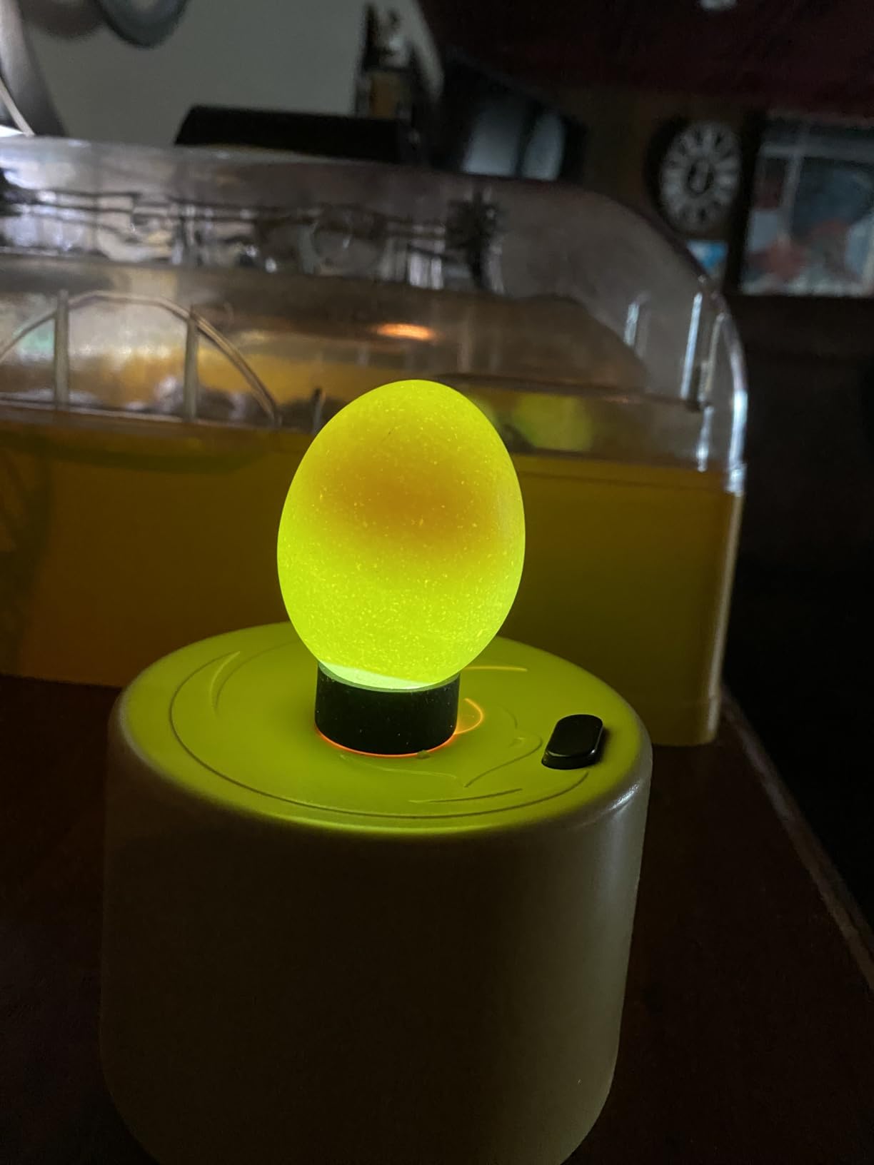 Titan Incubators High Intensity LED Chicken Egg Candler/Tester – Battery Powered customer photo 2