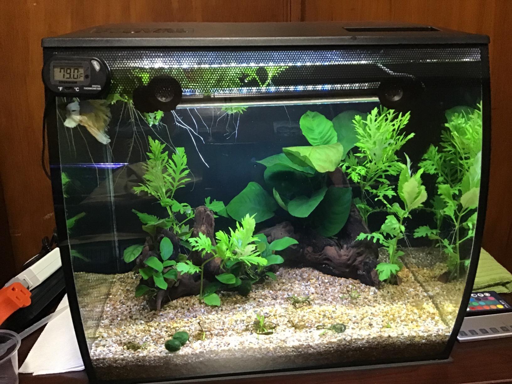 Fluval Flex 57 - 15 Gallon Nano Glass Aquarium Kit customer photo 1