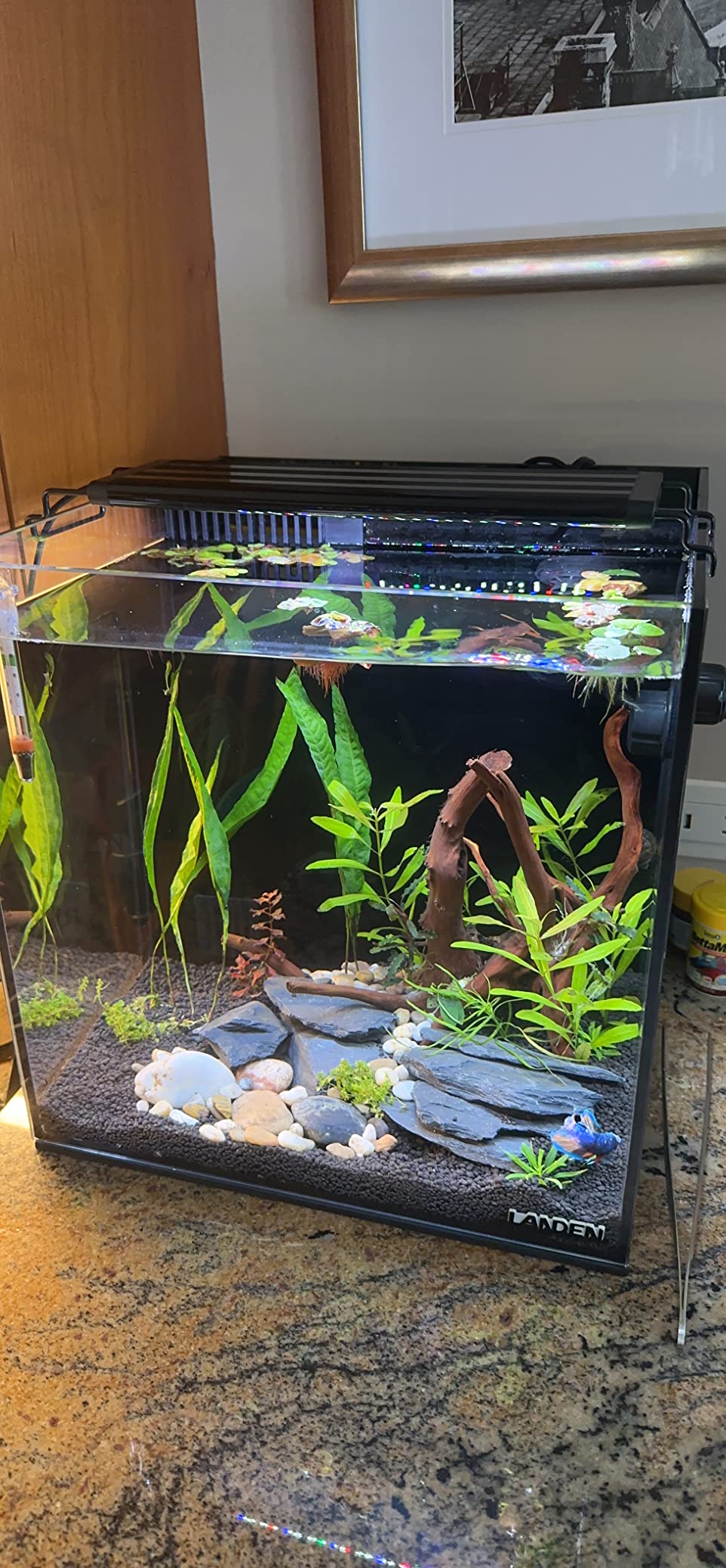 LANDEN EzFlux 60 Rimless 26 Gallon Rear Filtration Tank, Pump Included customer photo 2