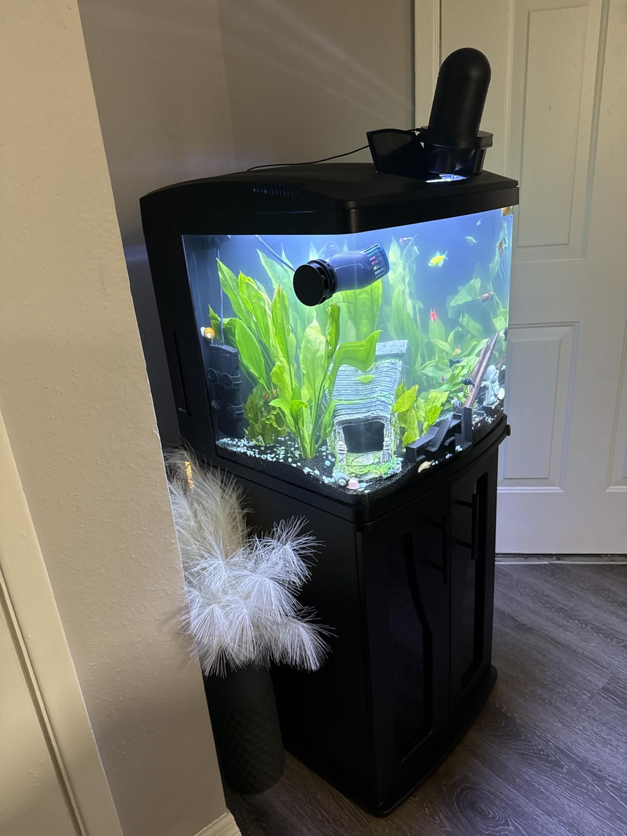 Coralife BioCube, Aquarium Kit, Integrated 24-hour Timer, Customizable LED Lighting, for Saltwater and Freshwater Environments, 32 Gallon customer photo 2