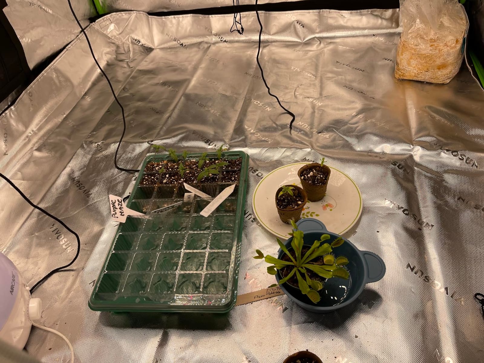Humboldts Secret Starter Kit Pack, Plant Fertilizer & Hydroponic Nutrients customer photo 2