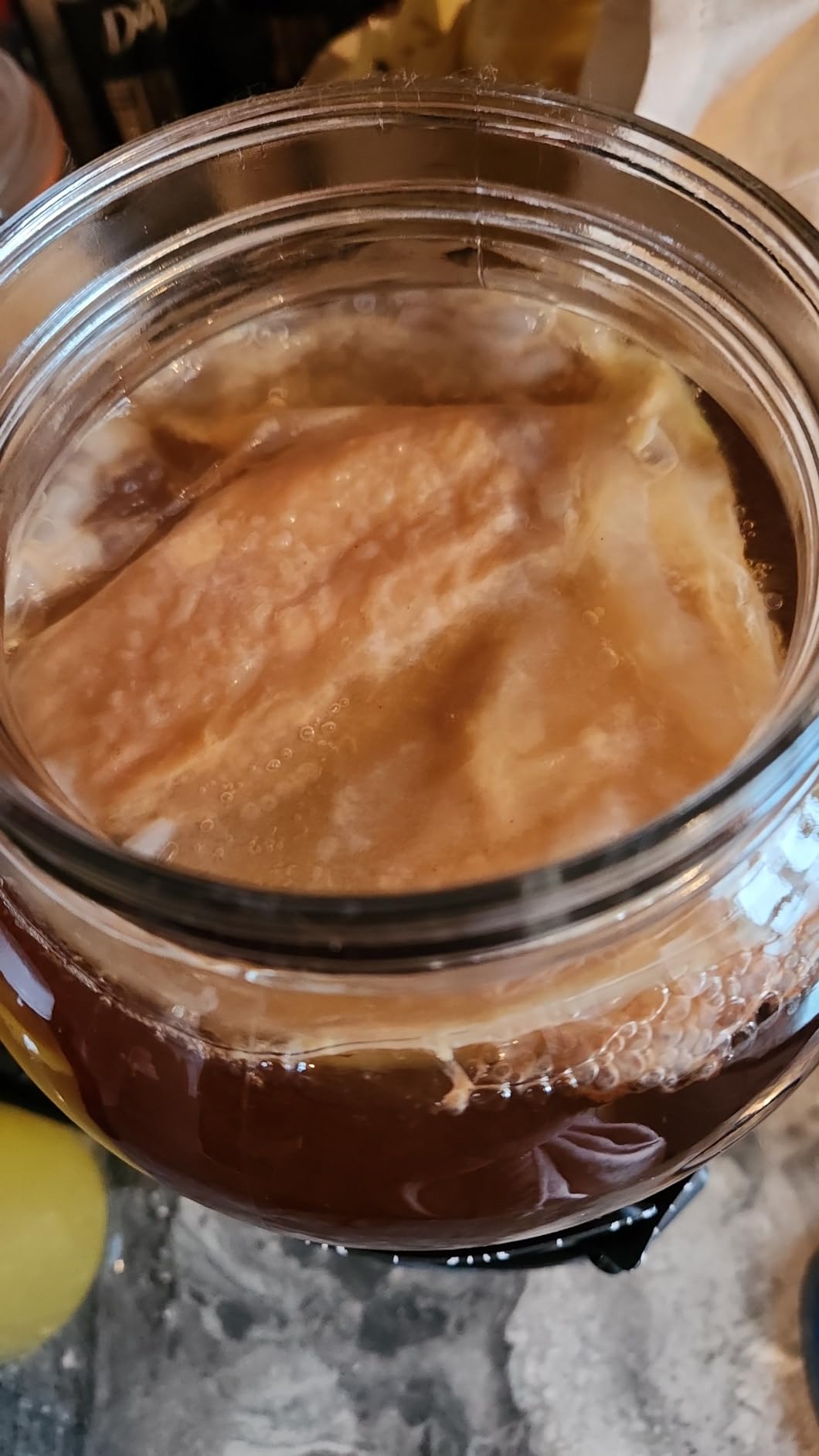 Fermentaholics Kombucha Brewing Starter Kit – USDA Certified Organic SCOBY & Tea, Complete Home Kombucha Making Kit with Culture, Kosher Certified customer photo 1