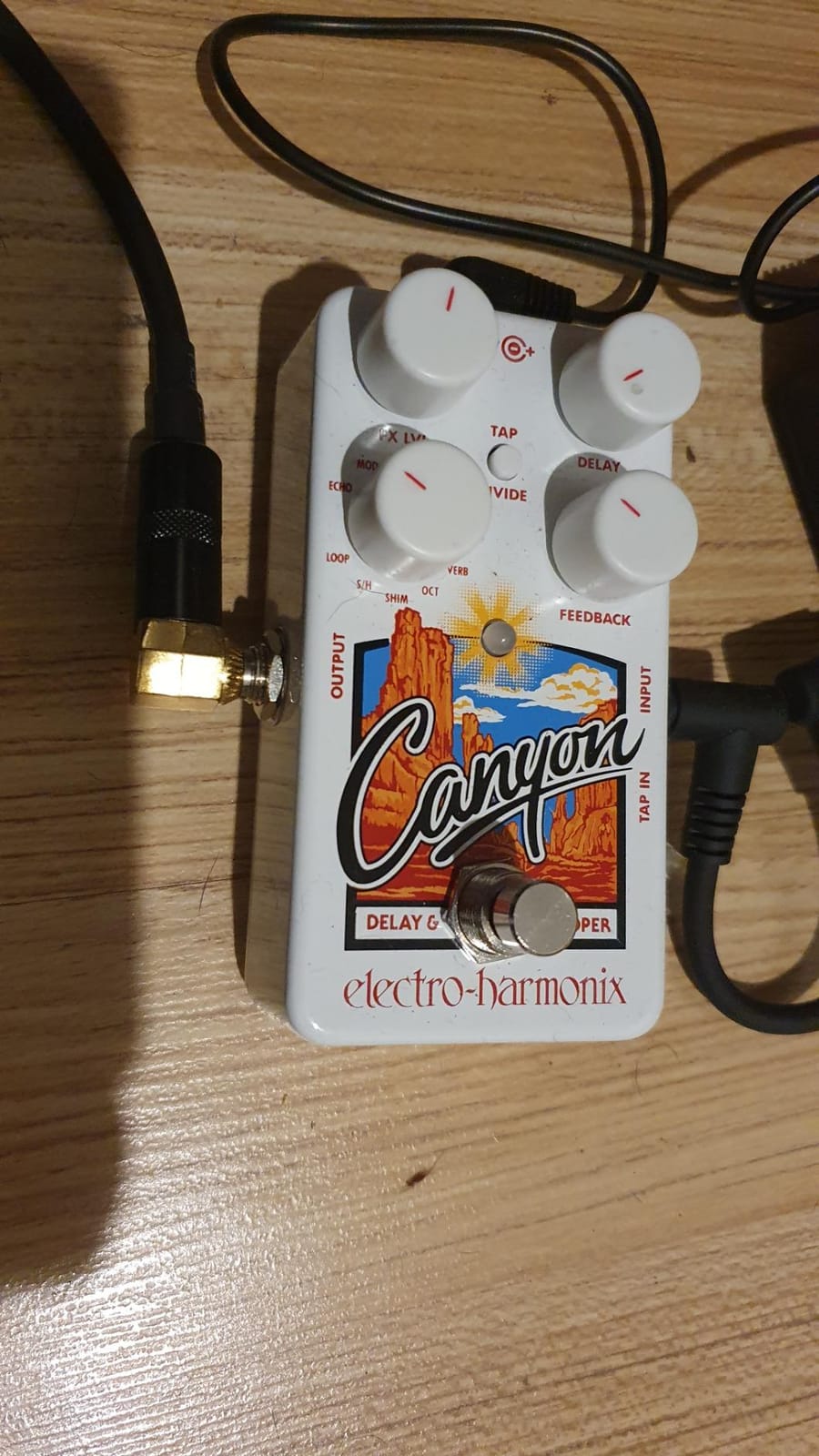 Electro-Harmonix Canyon Delay & Looper Pedal customer photo 1