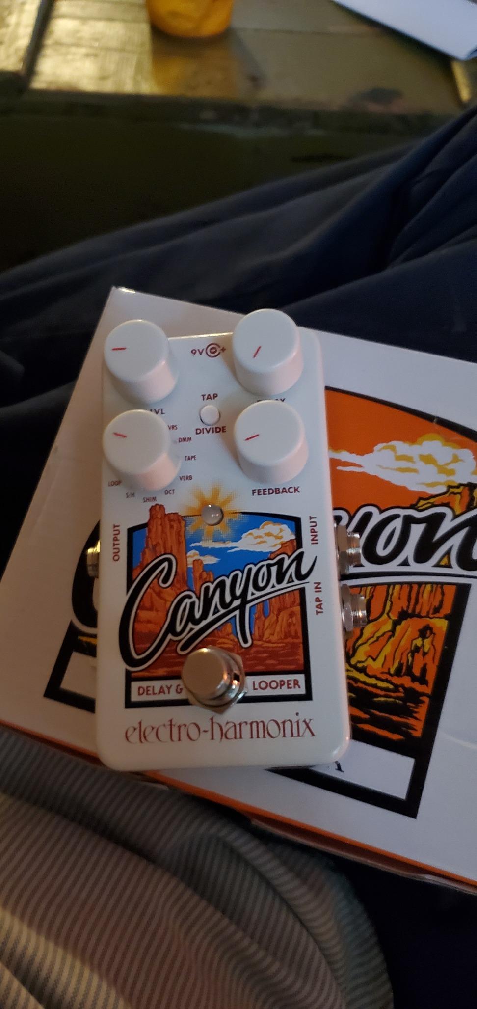 Electro-Harmonix Canyon Delay & Looper Pedal customer photo 2