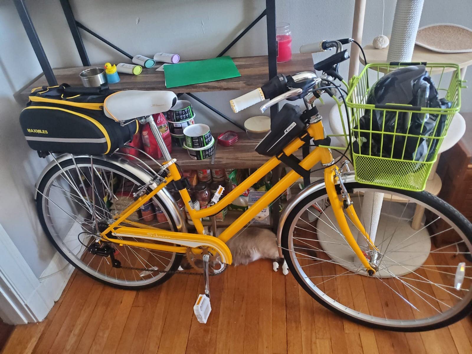 Schwinn Wayfarer Hybrid Bike, 700c Mens and Womens Bike, 7-Speed Hybrid Bicycle, Retro Steel Frame, Front and Rear Linear Pull Brakes, Fenders, Cargo Space, Adult Bicycle customer photo 1