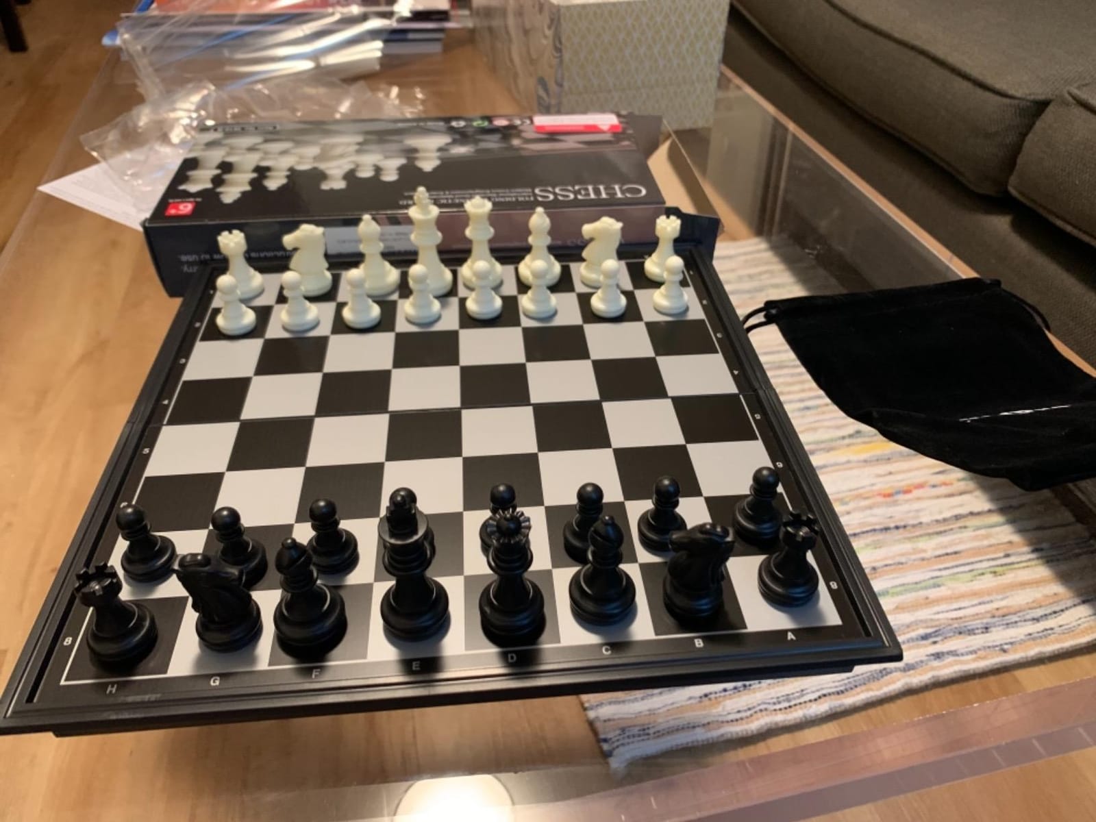 Magnetic Travel Chess Set for Kids and Adults, 9.84 Inches customer photo 1