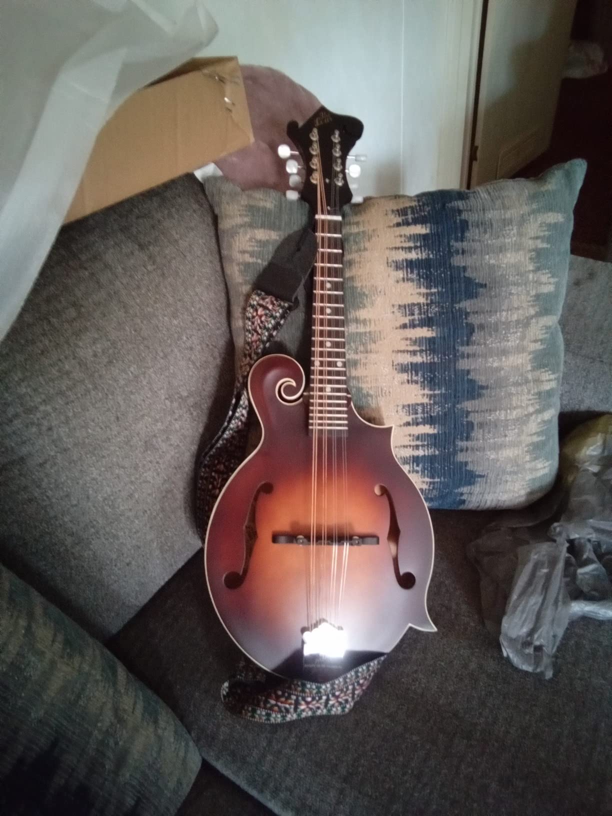 The Loar LM-310F-BRB Honey Creek F-Style Mandolin customer photo 2