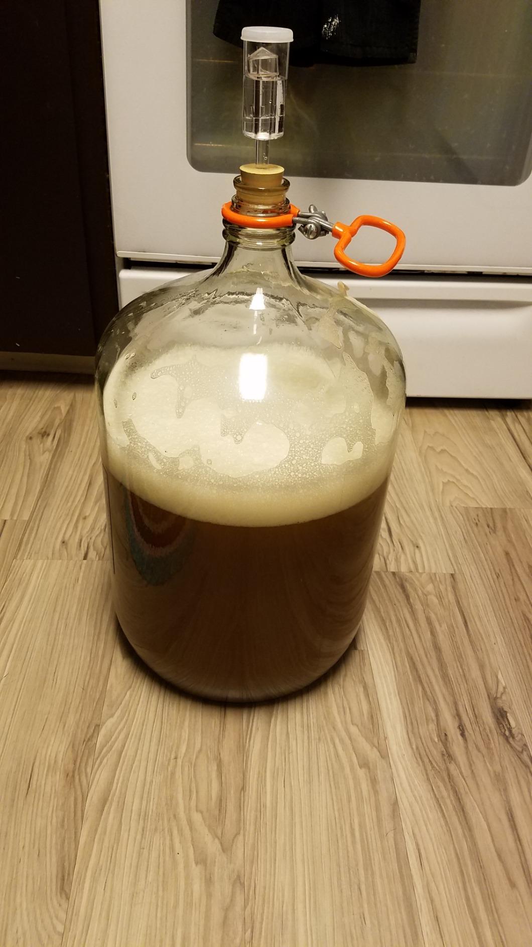 American Cream Ale Homebrew Beer Ingredient Kit customer photo 1
