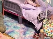 Delta Children Canopy Toddler Bed, Disney Princess customer photo 2