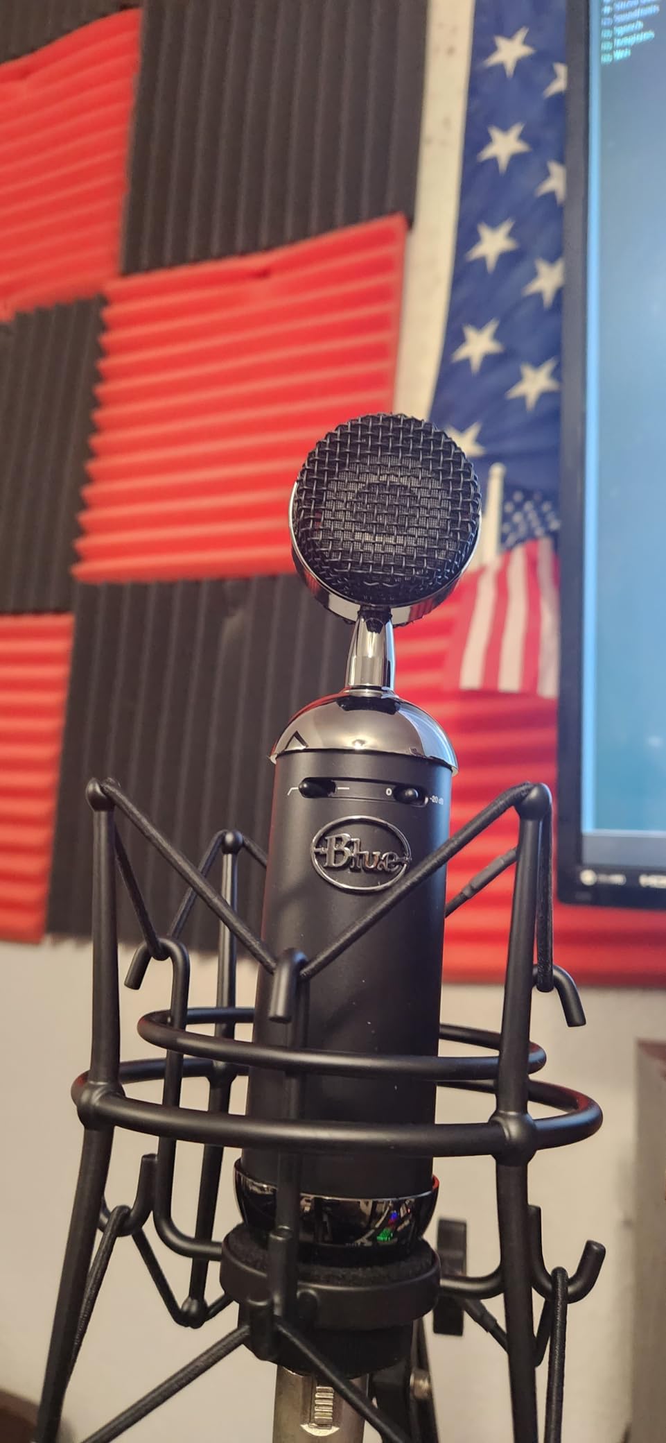 Blue Blackout Spark SL XLR Condenser Microphone for Pro Recording, Streaming, Podcasting, Gaming, with Large Diaphragm Cardioid Mic Capsule, Shockmount, Detailed Natural Sound, Protective Case - Black customer photo 1