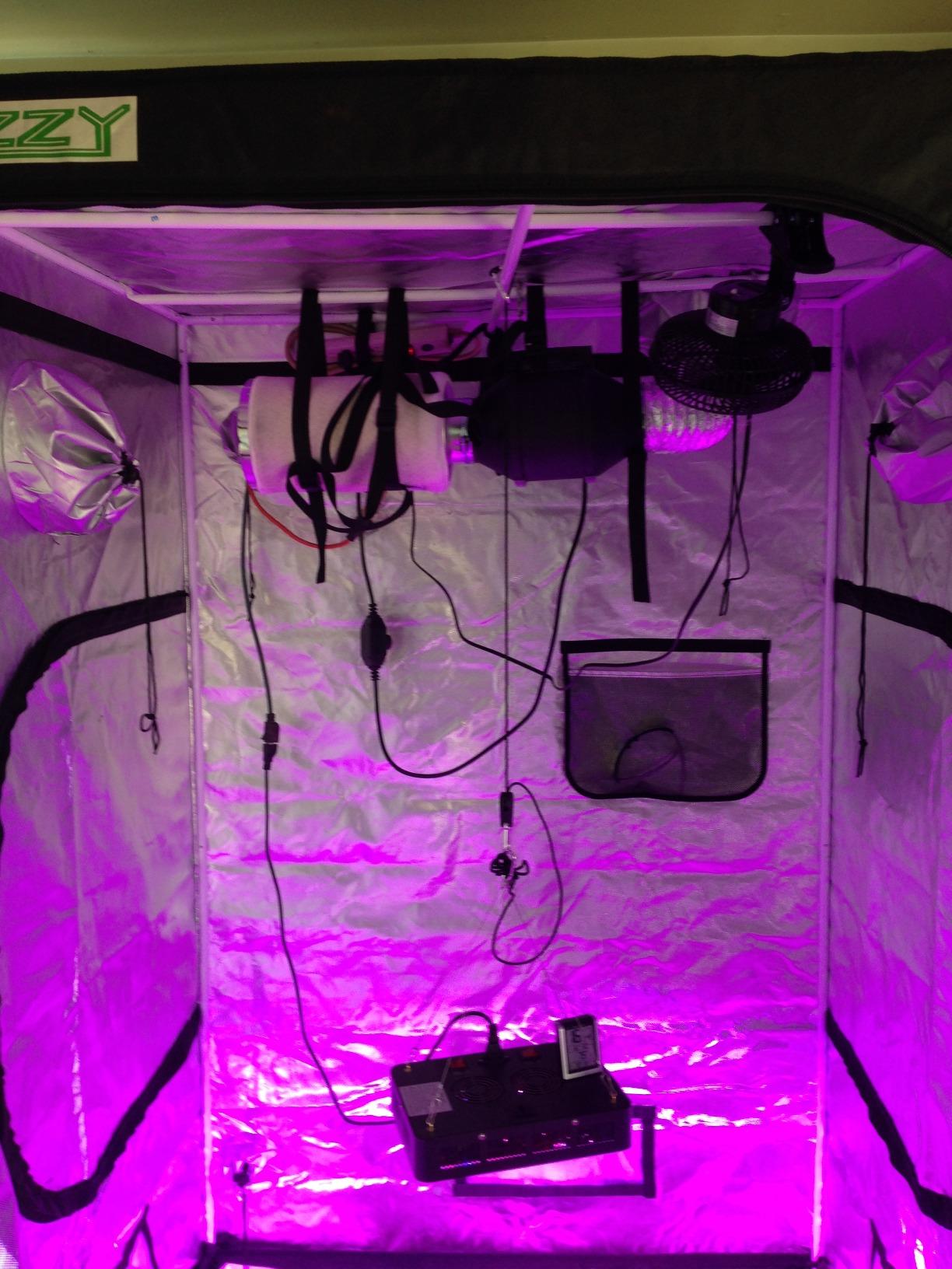 zazzy 4x2 Grow Tent, 48