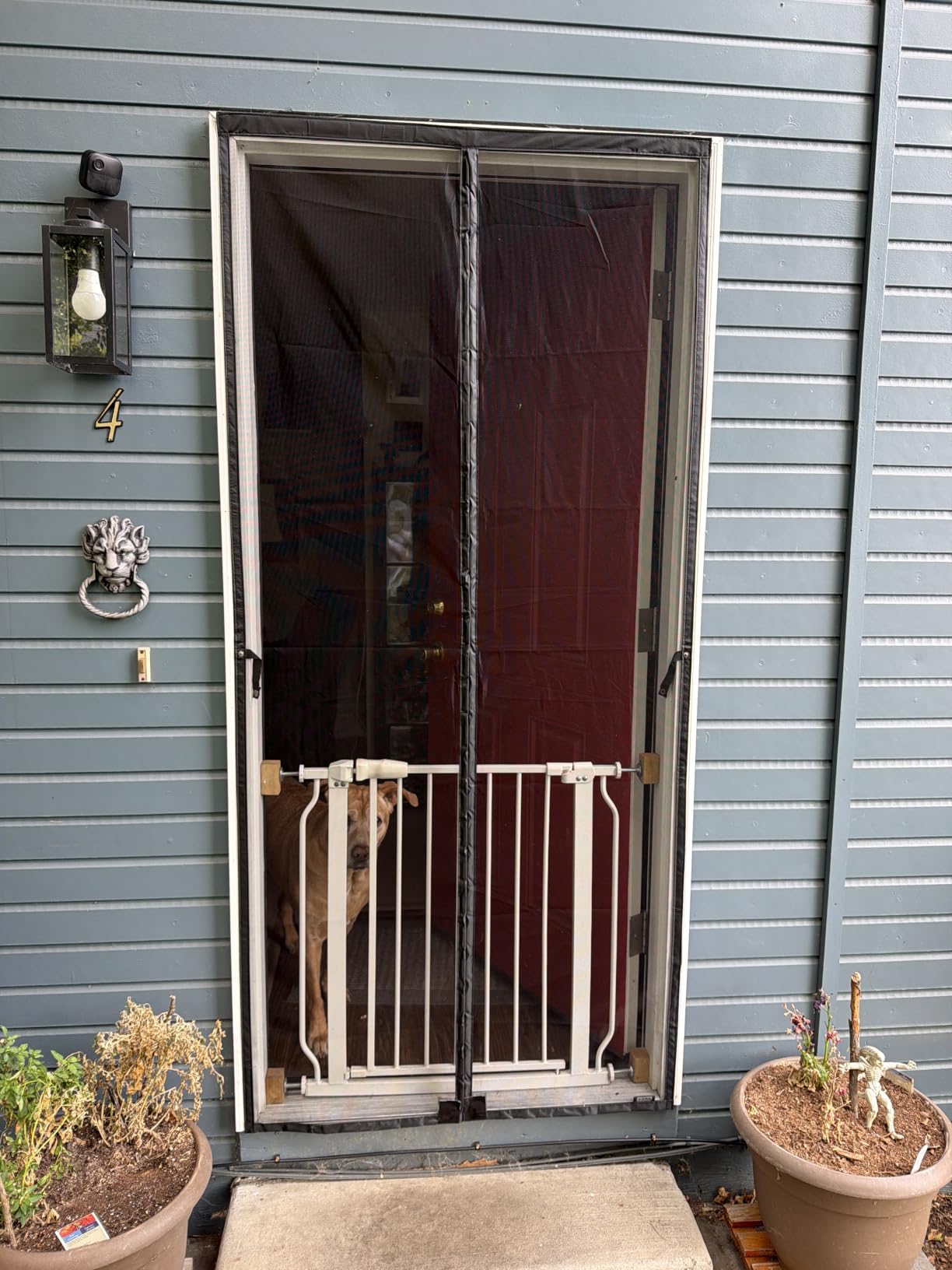 AUGO Magnetic Screen Door - Self Sealing, Heavy Duty, Hands Free Mesh Partition Keeps Bugs Out - Pet and Kid Friendly - Patent Pending Keep Open Feature - 38 Inch x 83 Inch customer photo 2