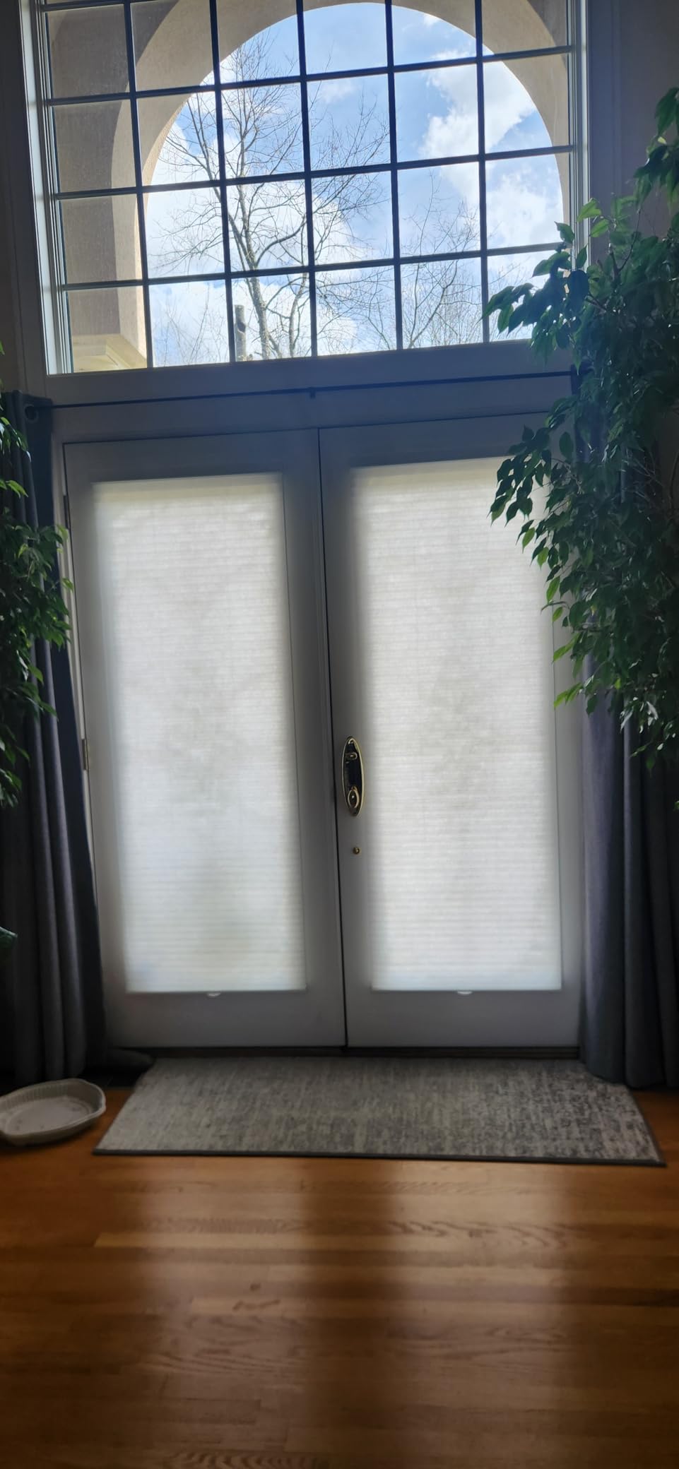 CHICOLOGY Cordless Cellular Shades, Room Darkening, Mist, 46x48 customer photo 1