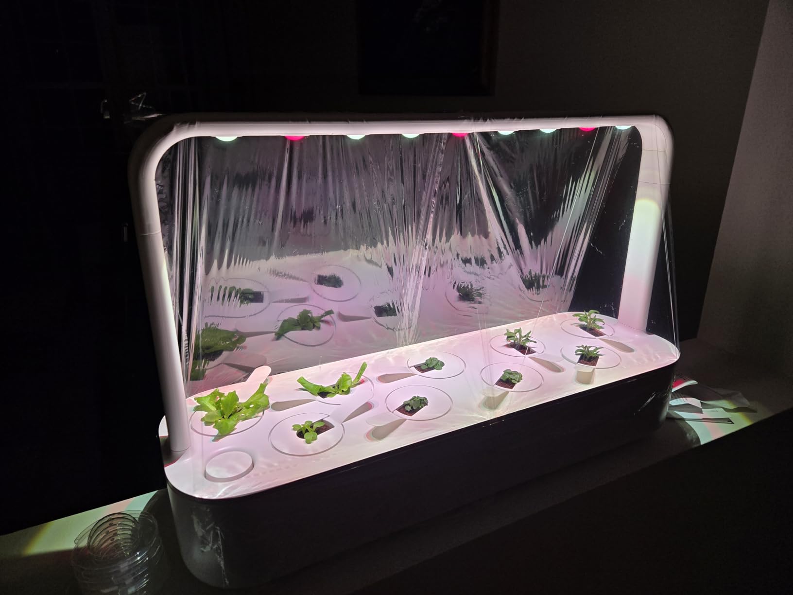 Click & Grow Smart Garden 9 Indoor Herb Garden Kit with Grow Light, Gray customer photo 1