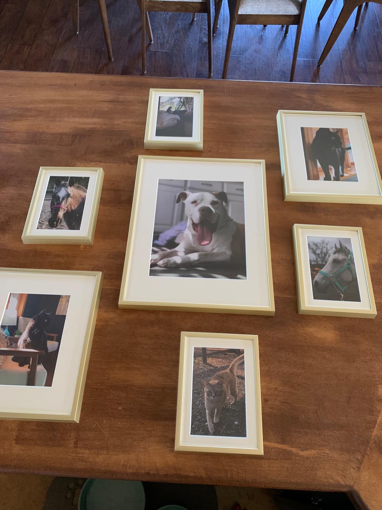 Golden State Art 7 Pack Gold Aluminum Frame with White Mat, Real Glass customer photo 2