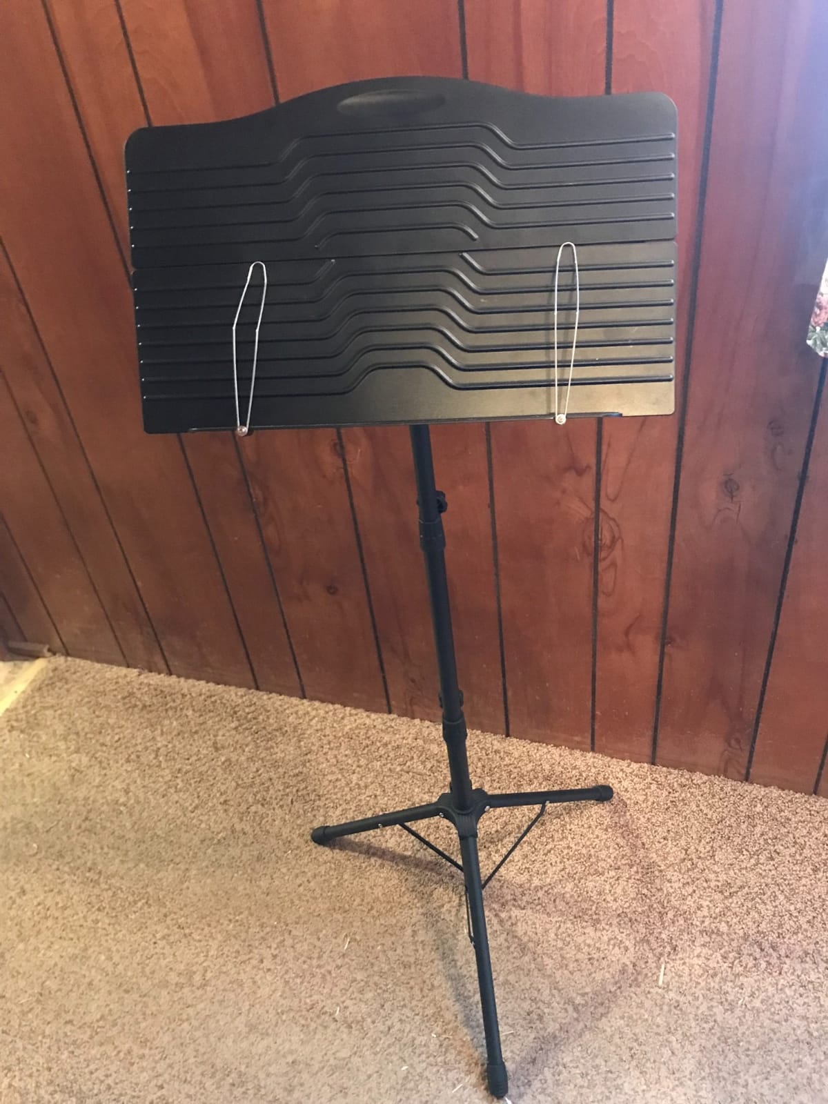 Donner DMS-1 Sheet Music Stand with Light & Carrying Bag customer photo 2