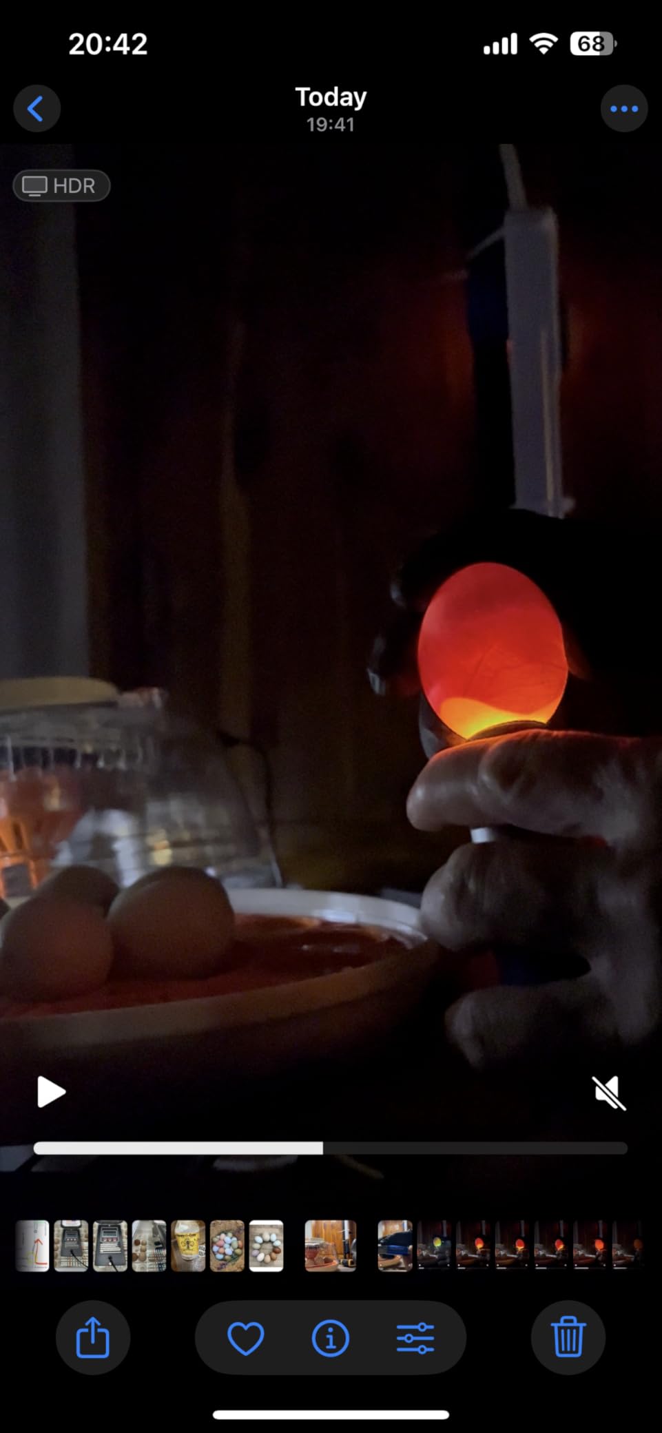 Incu-Bright™ Ultra Bright LED Egg Candler - Portable Light for All Egg Size customer photo 1