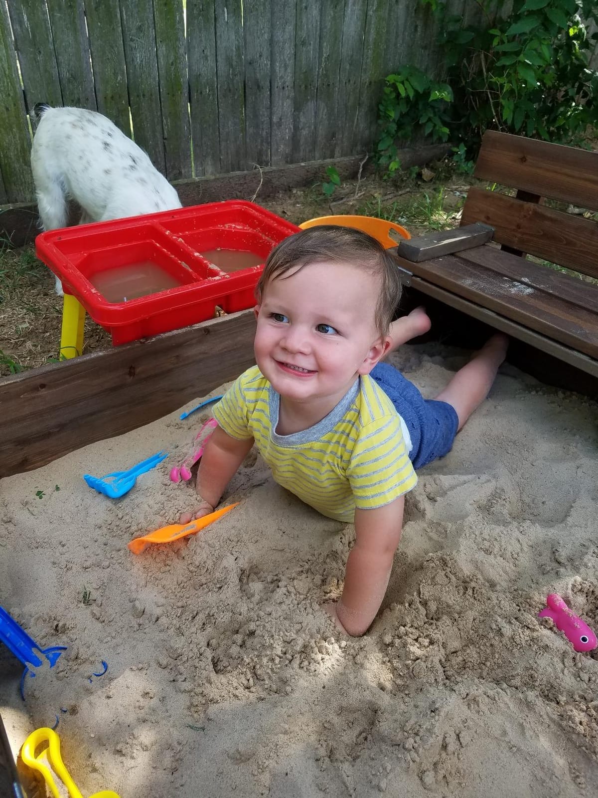 Badger Basket Wooden Sandbox with Cover & Folding Benches - Outdoor Sand Box for Kids & Toddlers, Large Backyard Sand Pit Playset with Convertible Lid, (46.5 x 46.5 x 9.5 Inches) - Natural/Green customer photo 2