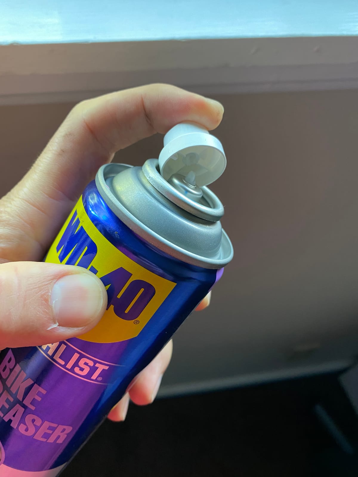 WD-40 All Conditions Bike Chain Lube and Chain Cleaner/Degreaser customer photo 1