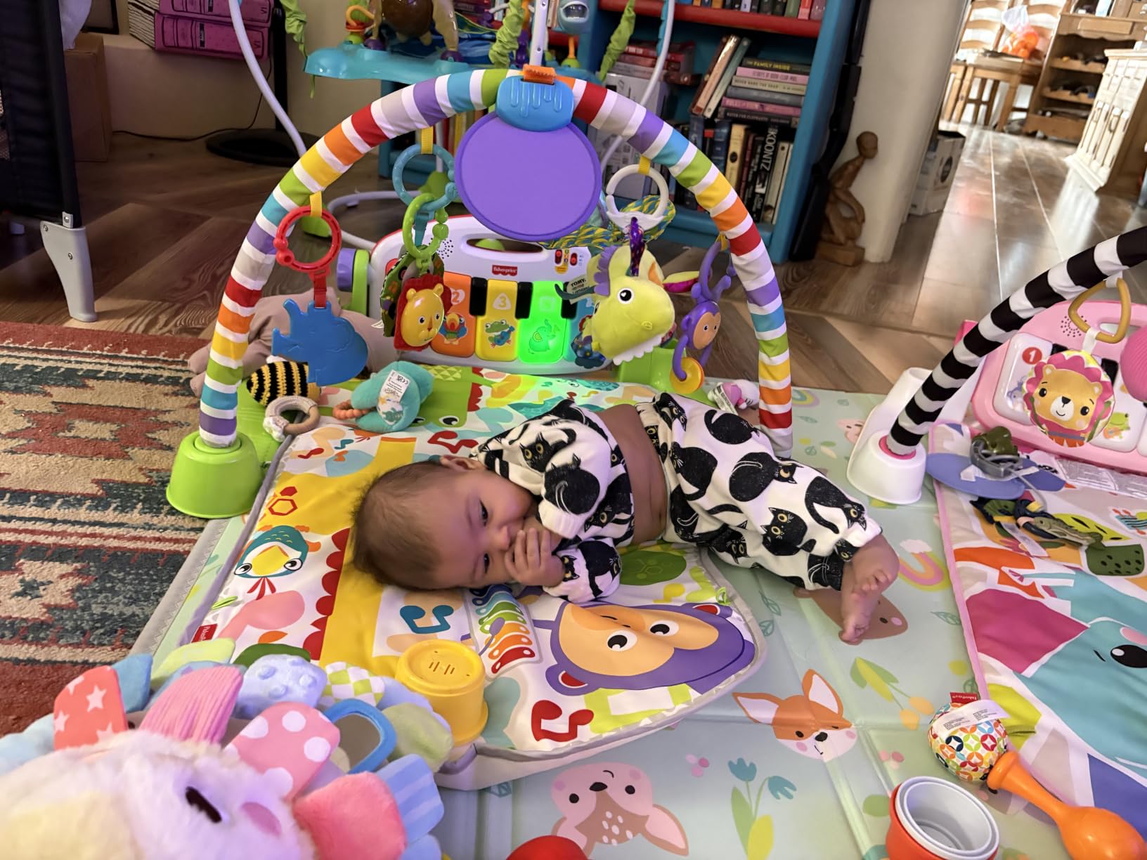 Fisher-Price Baby Playmat Deluxe Kick & Play Piano Gym for Learning & 2 Maracas Soft Rattles for Newborn to Toddler Play Ages 0+ Months customer photo 2