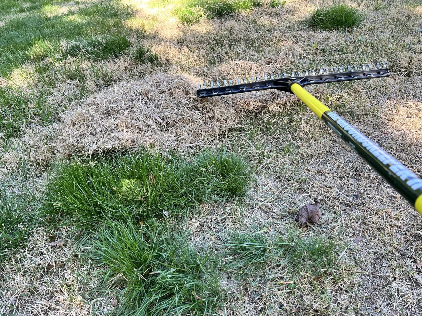 THE GROUNDSKEEPER II Rake 55-inch Lightweight Fiberglass Handle, 21-inch Head, Durable Steel Tines for Gardening, De-Thatching or Professional Landscaping customer photo 2