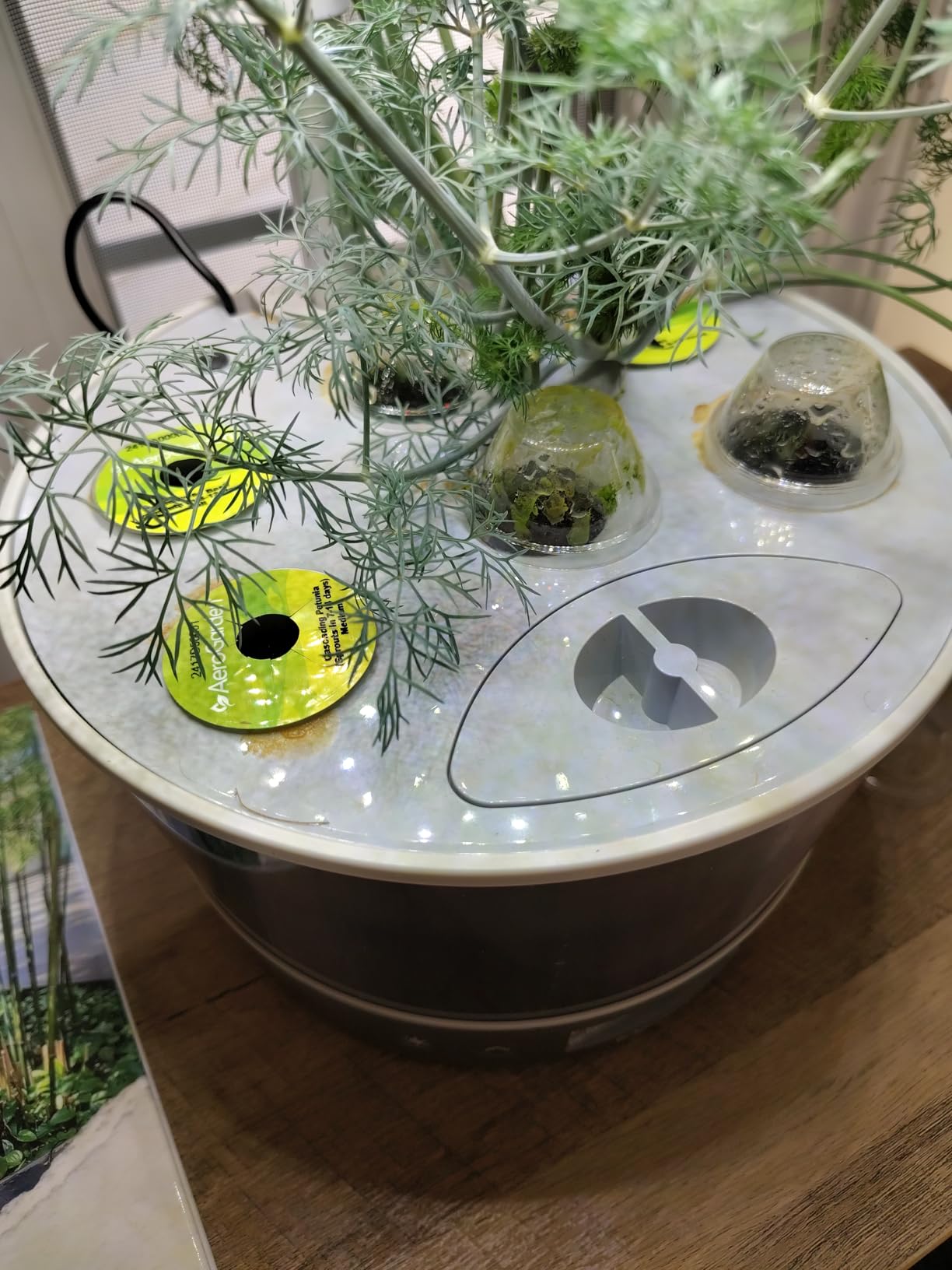 AeroGarden Harvest Elite 360, Platinum Stainless customer photo 2